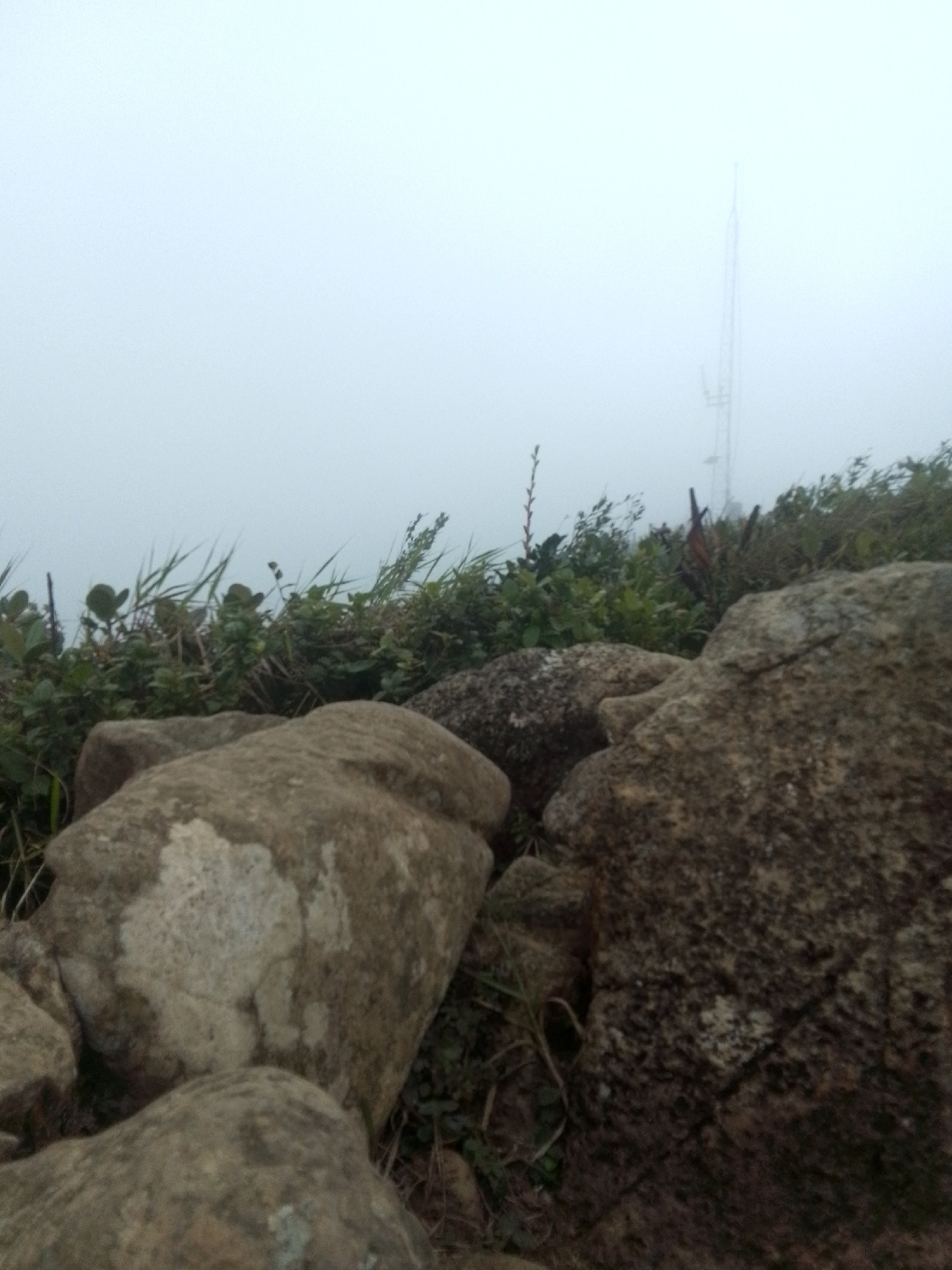 The image depicts a landscape with prominent rocks in the foreground, surrounded by vegetation. In the background, the sky is obscured by dense fog or mist. A tall transmission tower is barely visible in the distance through the fog. The location is likely a mountainous or elevated area based on the rocky terrain. The city of Las Piedras, Venezuela, is mentioned, but the image does not confirm this location directly.
