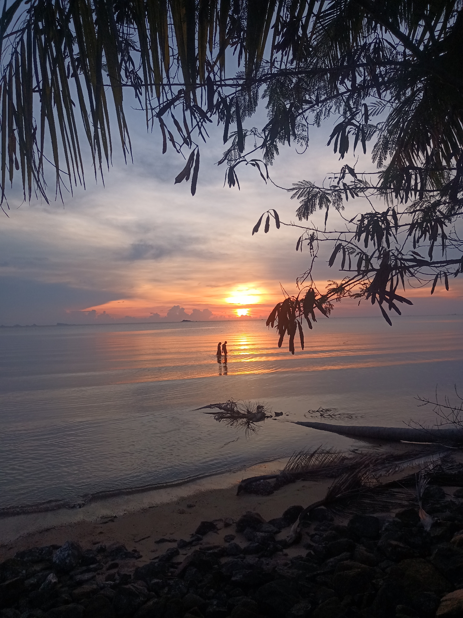 The image depicts a sunset scene at a beach near Baan Wok Tum, Thailand. The sun is setting over calm water, creating a bright orange and yellow reflection on the surface. Two people are standing in the water, silhouetted against the sun. The foreground features a rocky shoreline with driftwood and fallen palm fronds. Overhanging branches with distinctive seed pods frame the upper portion of the image. The sky shows a gradient of colors ranging from gray and pink near the horizon to pale blue above.