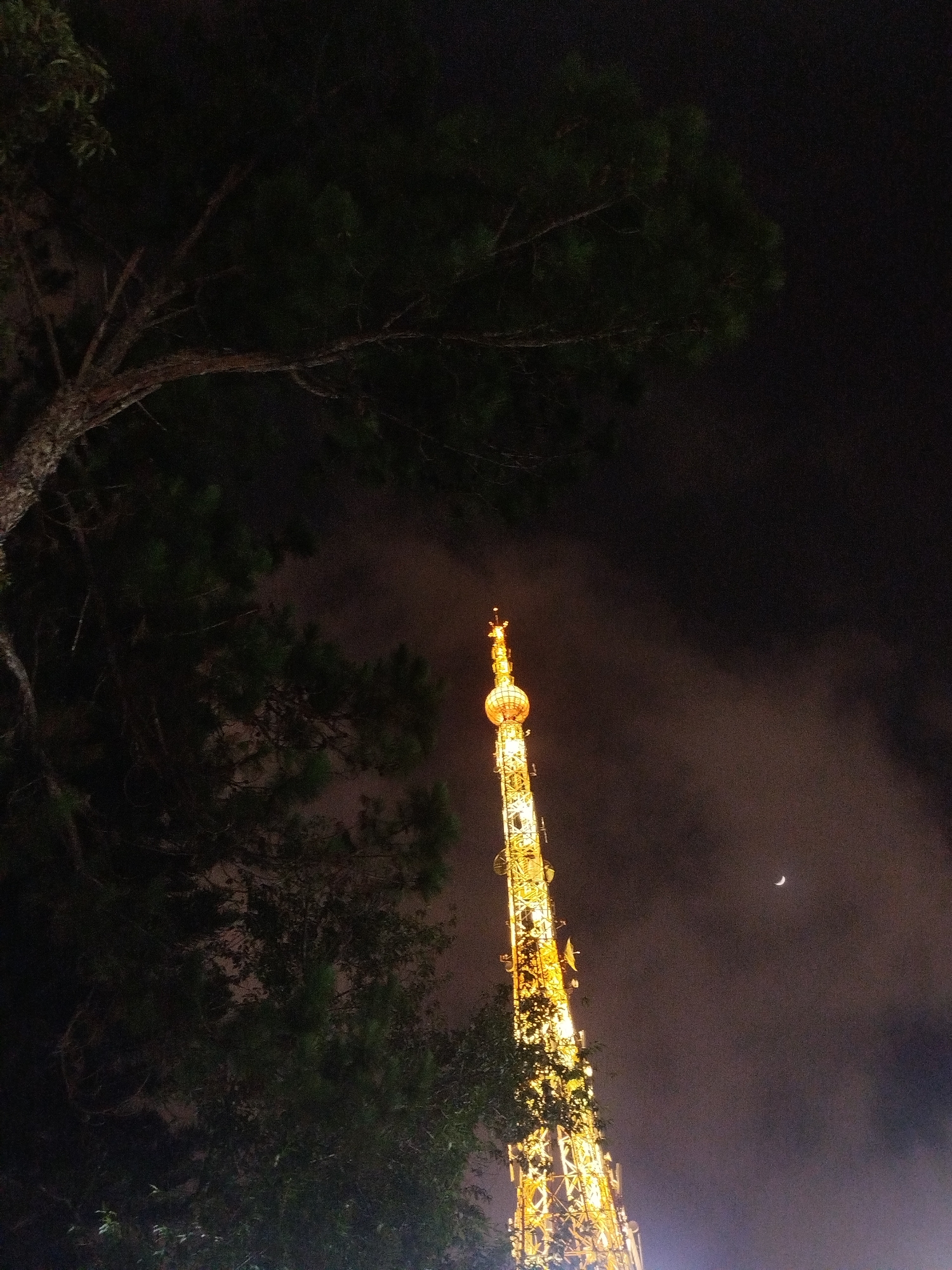 This media file captures a night scene in Da Lat, Vietnam, dominated by a tall, illuminated radio tower. The tower, a prominent object, is brightly lit with golden lights, giving it a festive or decorative appearance. It has a complex structure with multiple levels and antennas, topped with a glowing spherical element.
In the foreground, dark silhouettes of trees, likely pine trees typical of Da Lat's landscape, frame the left side of the image, creating a sense of depth and natural contrast to the man-made tower. Their foliage is dense and dark against the night sky.
The sky is a deep, dark expanse, partially obscured by wispy clouds that are tinged with the light from the tower, giving them an ethereal glow. A crescent moon is visible in the upper right quadrant of the sky, adding to the nocturnal atmosphere.
The time of day is clearly night, indicated by the darkness of the sky and the artificial illumination of the tower. The presence of the crescent moon suggests a clear night, though the clouds indicate some atmospheric activity. The overall mood is one of quiet contemplation and wonder, with the towering, brightly lit structure standing out against the natural darkness and the subtle celestial presence. There are no people visible in the image, and no visible text.
