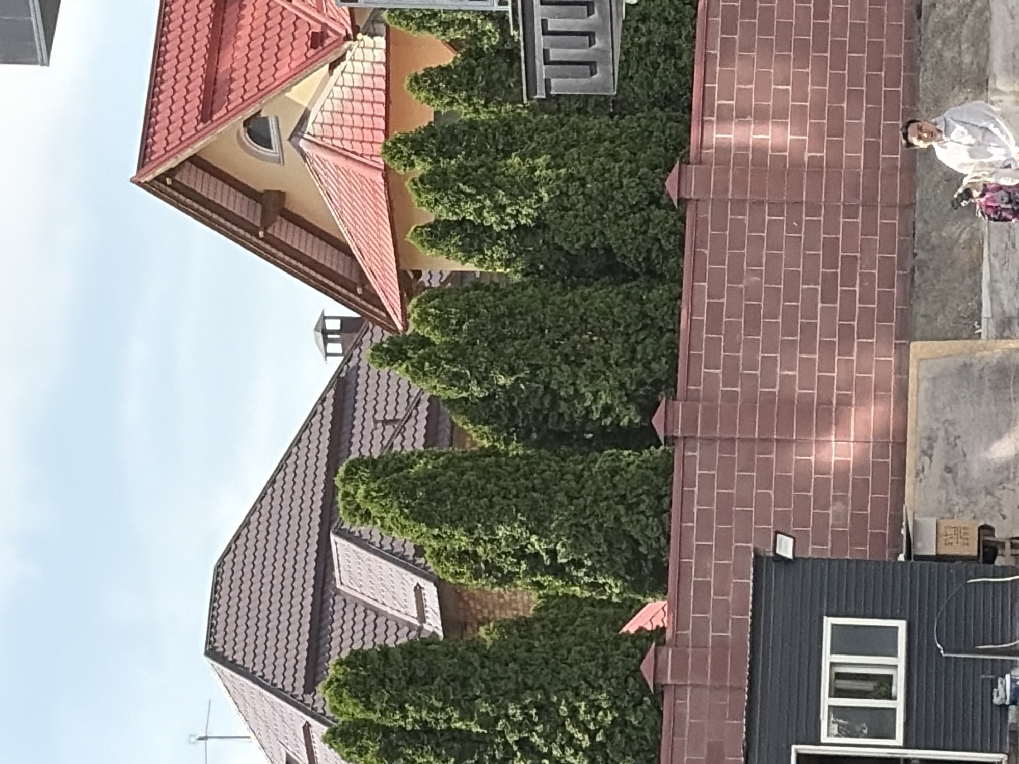 The image shows an exterior view of several buildings. One building on the left has a red tiled roof and a light yellow facade. It features a small, arched window and wooden beams visible under the eaves. Adjacent to this is a row of tall, conical evergreen trees. To the right of the trees is a building with a red brick facade and a dark-colored, corrugated metal roof. On top of this roof, there's a small white fixture, possibly a light. Further to the right, a person in a white shirt is visible sitting near a patterned blanket, with a brick wall and a concrete surface in the background. Another building with a dark gray corrugated metal facade and a white-framed window is visible in the lower right portion of the image. The sky is visible at the top left, appearing clear and blue. The lighting suggests it is daytime, likely sunny, casting shadows on the brick wall. The scene appears to be in a residential or suburban area, given the houses and landscaping. There is no visible text in the image.