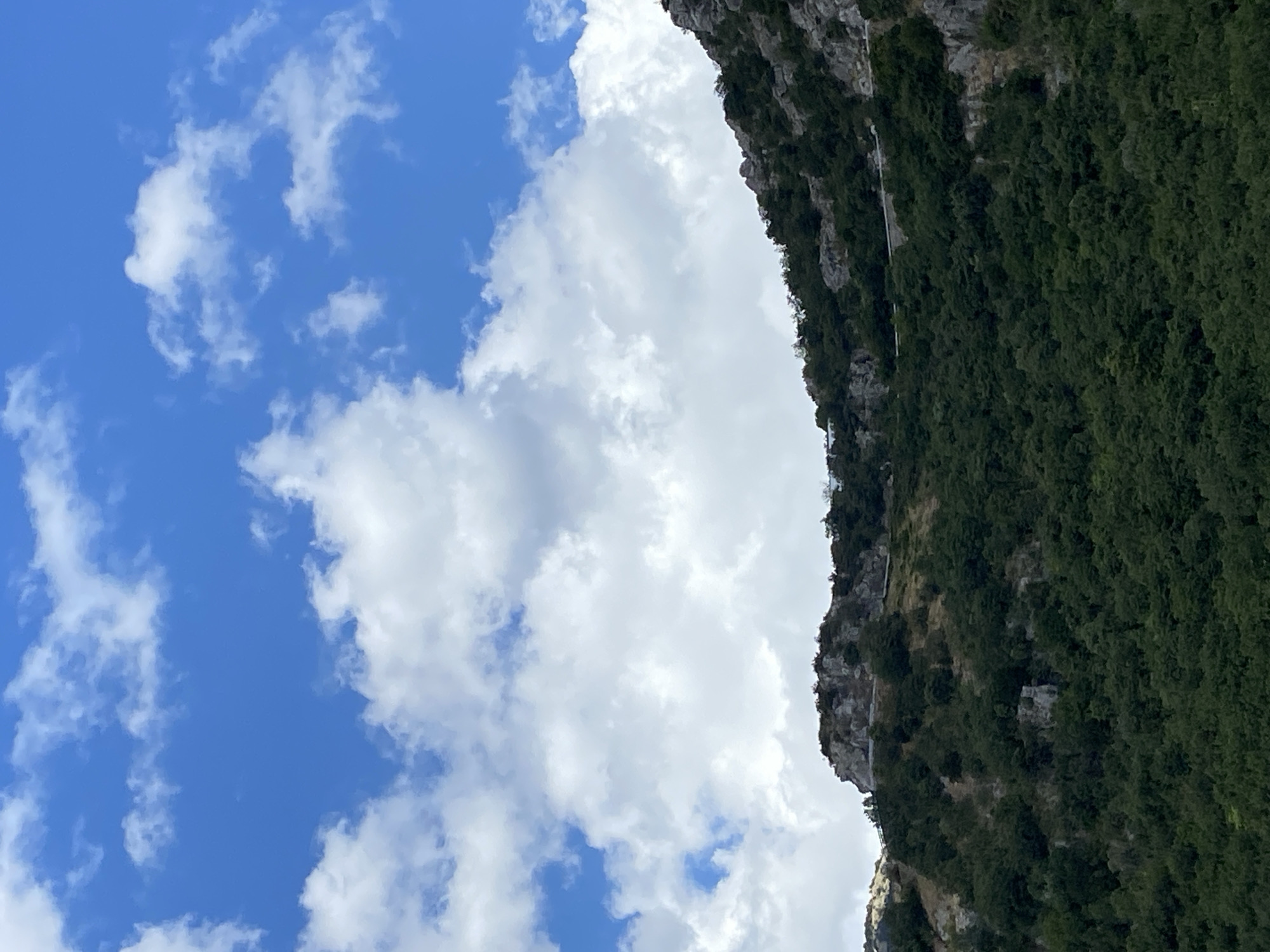 The image shows a view of a forested mountainside under a bright blue sky with scattered white clouds. The vegetation is dense and green, covering the slopes of the mountain. The rocky terrain is visible at the top of the mountainside, with a road or pathway winding along the edge. The scene appears to be a natural landscape, possibly in a mountainous region near Budva, Montenegro, given the context. There are no people or specific man-made structures that are clearly identifiable, suggesting a focus on the natural scenery. The lighting indicates it is daytime, with clear visibility.