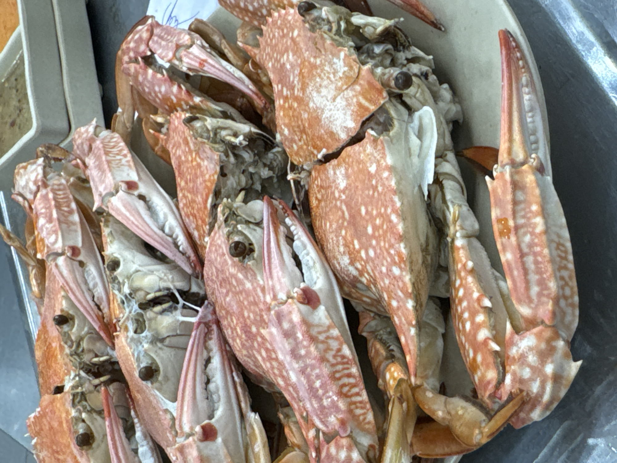 The image shows a close-up of a pile of cooked crabs, likely flower crabs, in a metal tray. The crabs have a distinctive orange and white spotted pattern. They appear to be arranged for sale or consumption. Given the prompt, this is likely a market in Đà Nẵng, Vietnam.