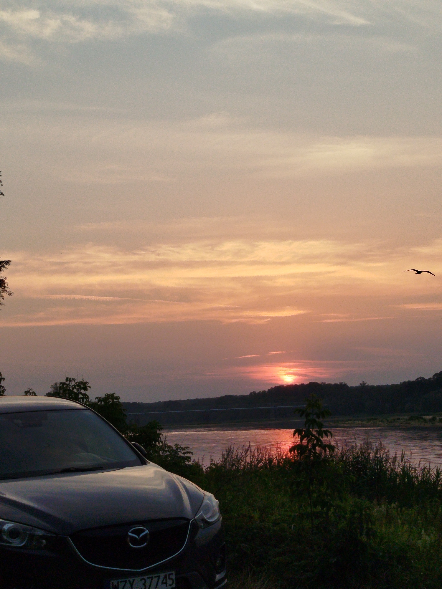 The image depicts a scenic sunset over a body of water, likely a river, with a dark-colored Mazda CX-5 car parked in the foreground on the left. The car's headlights and front grille are visible. Tall grass and foliage line the bank of the water, with trees forming a silhouette against the horizon. A bridge spans the water in the middle distance. The sky is filled with warm hues of orange, pink, and purple, characteristic of a sunset. A bird is silhouetted against the sky on the right side of the frame. The location is stated to be Topolina, Poland, suggesting a rural or semi-rural setting near a body of water.