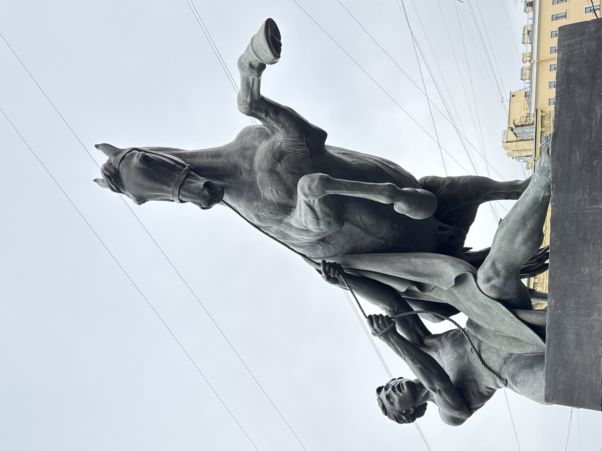 The image shows the Anichkov Bridge Horse Tamers statue in Saint Petersburg, Russia, with the head and torso of one of the horse tamers and the full horse visible. The sculpture is a bronze statue showing a muscular man struggling to control a rearing horse. A rope is depicted in the man's hand. The statue is mounted on a dark grey plinth. Overhead are multiple wires or cables against a pale sky. The corner of a yellow building is visible in the background.