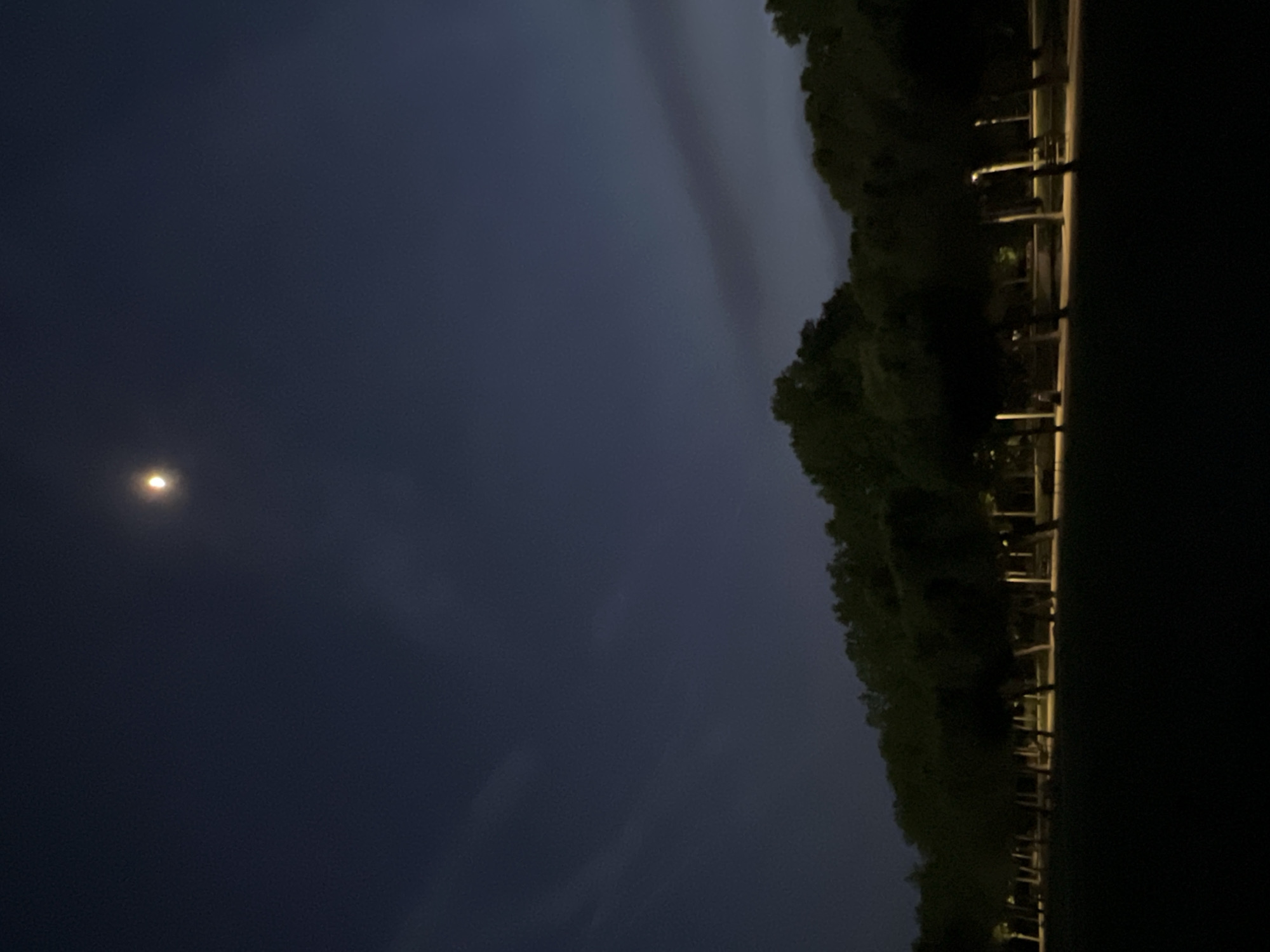 A nocturnal scene shows a dark sky with a bright moon. A line of trees is on the right side of the image. The trees border what appears to be a street, illuminated by occasional streetlights. The location is not possible to determine from this image.