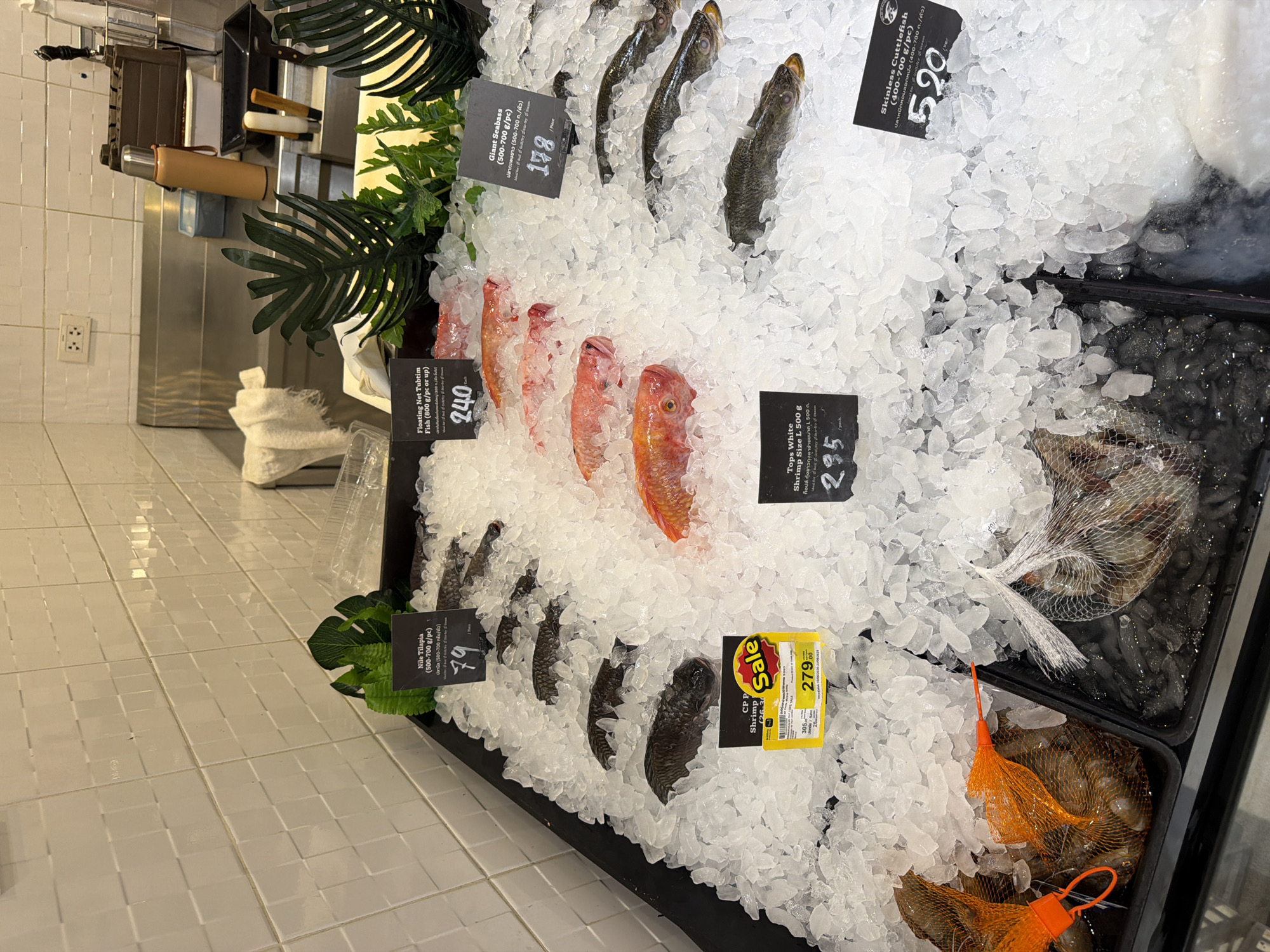 The image depicts a seafood display at a market in Baan Chaweng, Thailand. The display is filled with crushed ice, on which various types of fresh fish and shrimp are presented. Several black price tags are strategically placed among the seafood, indicating prices and product names.
In the foreground, on the left, are two trays of shrimp, one in an orange mesh bag and another in a white mesh bag. Behind these, to the right, is a tray of cuttlefish. The middle section of the display features several trays of fish. The most prominent are rows of red fish, likely snapper or similar, with one large red fish positioned centrally. To the left of the red fish are several dark-colored fish, possibly tilapia. To the right of the red fish, and further back, are several long, dark fish, likely seabass.
The background shows a stainless steel counter with various items, including a thermos, containers, and knives. A tiled wall is visible behind the counter. Decorative artificial plants are interspersed with the seafood display, adding a touch of greenery. The overall impression is a well-organized and fresh seafood counter in a market setting.