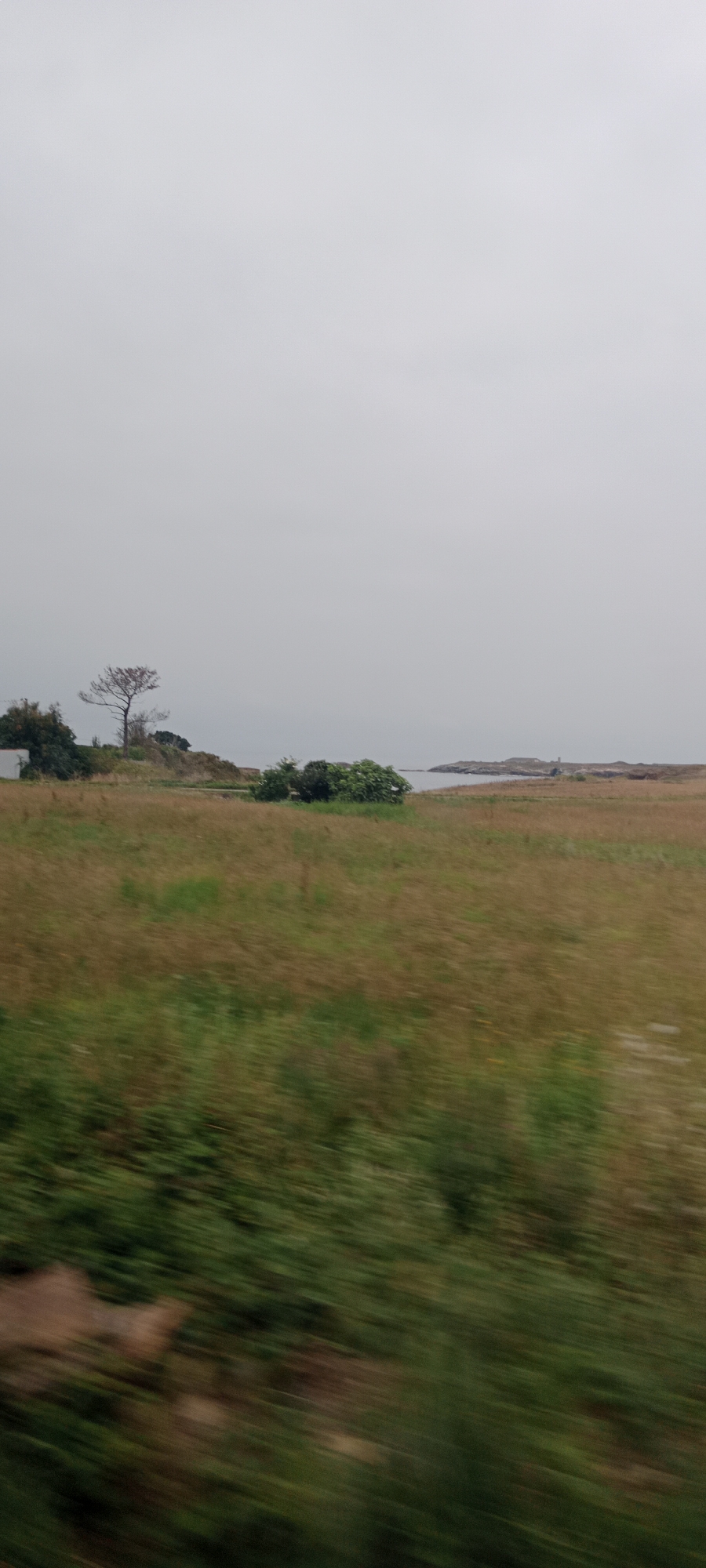The image depicts a landscape with a large expanse of dry, brown grass in the foreground, which is blurred due to motion. In the mid-ground, there are patches of green grass, scattered trees, and a body of water in the distance. A small, light-colored building is visible on the left side of the mid-ground. The sky is overcast and a uniform gray. The scene appears to be a rural area, possibly a coastal region given the presence of water and islands in the distance. The overall impression is one of a natural landscape under a cloudy sky.