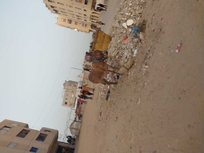 The image depicts an open, unpaved urban area in Khan Yunis, Palestinian Territory, under a bright, overcast sky. The foreground is sandy ground littered with various small debris and plastic items. In the mid-ground, a brown donkey wearing a saddle blanket and harness stands beside a large pile of rubble composed of concrete fragments, stones, and discarded materials. A yellow metal skip or dumpster is positioned behind the donkey and rubble pile. To the left, a multi-story residential building with exposed concrete and blue-framed windows rises, with several white tents and additional buildings visible further in the background. To the right, another beige multi-story residential building features multiple windows and balconies. A group of three women, one wearing a hijab, walk from left to right in the mid-ground, and several other figures are discernible walking in the distant background near the buildings.