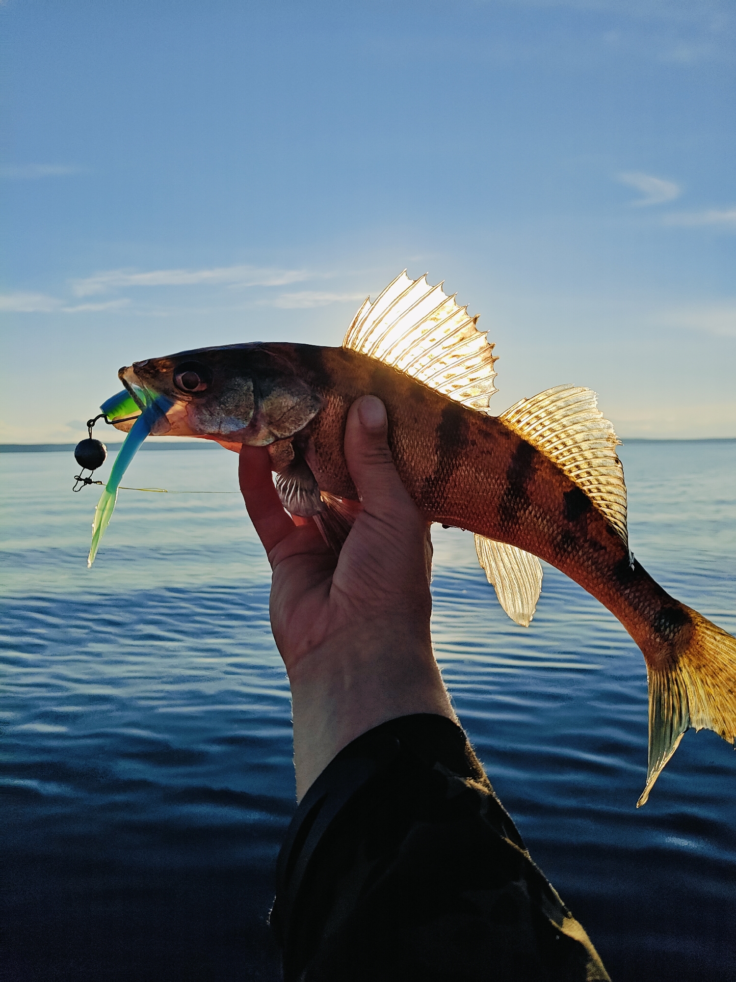 The image shows a hand holding a caught fish in front of a body of water and a blue sky. The fish, which appears to be a perch, is being held by its mouth, with a fishing lure visible. The sun is shining brightly, casting a backlight that illuminates the fish's fins. The water is calm with gentle ripples. The image does not contain information to determine the location in Stepanovo, Russia.