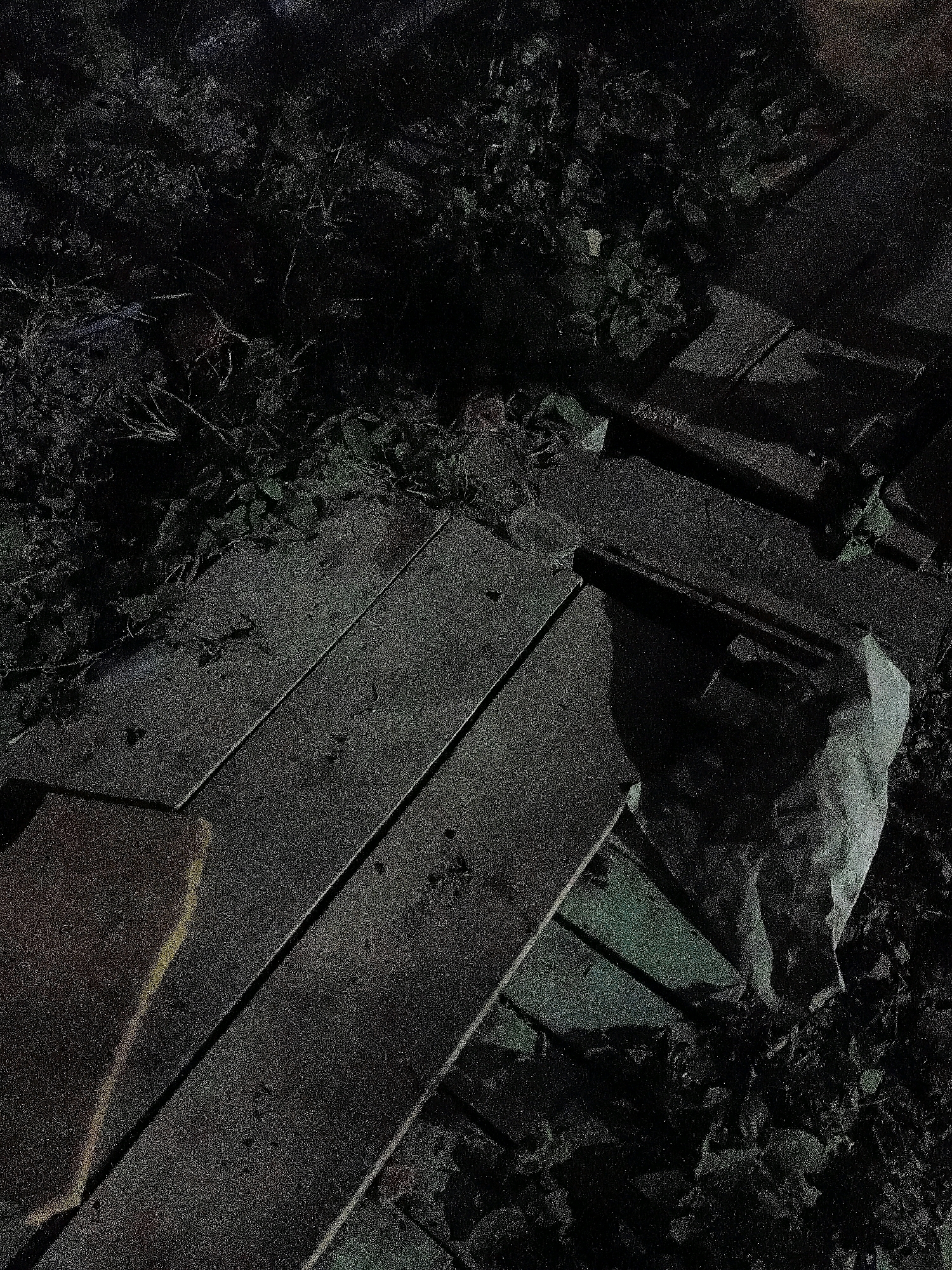 The image depicts a dimly lit, outdoor scene with wooden planks and foliage. The wooden planks appear to be laid out in a staggered pattern, forming a path or walkway. Some of the planks are worn and weathered, suggesting they have been exposed to the elements. Surrounding the planks is dense foliage, possibly indicating a garden or natural area. A white, irregularly shaped object, possibly a bag, is visible near the edge of the planks. The lighting is low, creating strong shadows and obscuring some details of the environment. The overall impression is one of a somewhat neglected or unkempt outdoor space. There is no visible indication of the specific location within Cikal, Indonesia, in the provided image.