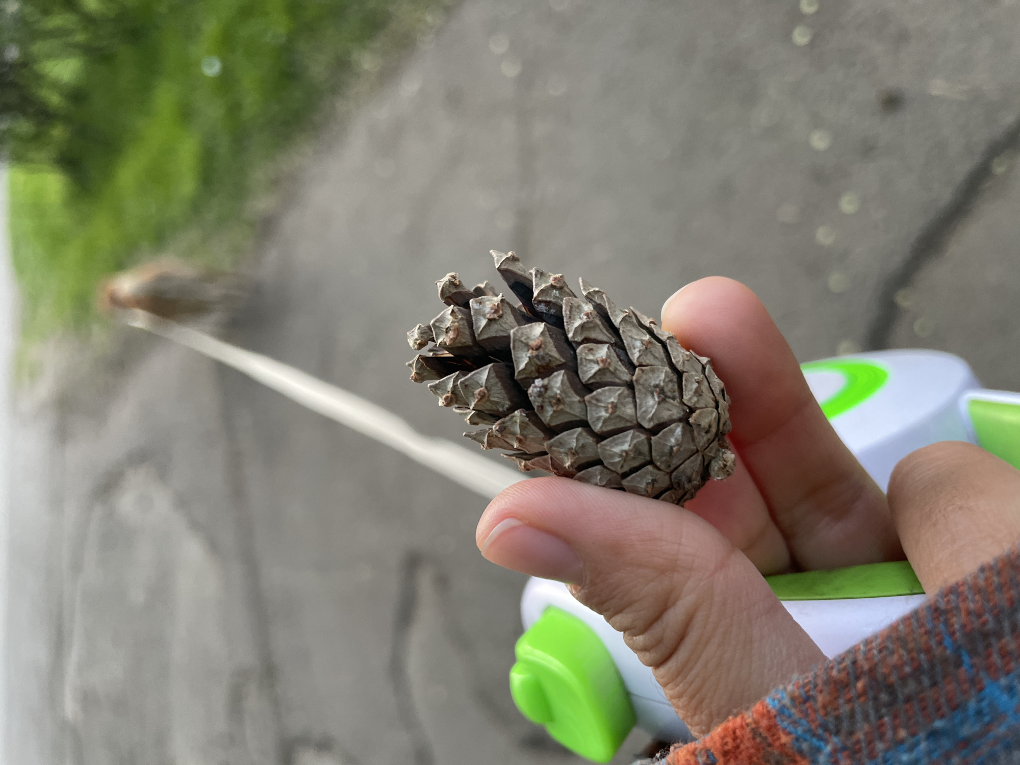 A close-up outdoor shot in Zheleznogorsk, Russia, features a hand, likely a child's, holding a small pinecone. The hand is gripping a white and neon green plastic object, which appears to be a toy, possibly a launcher or water gun. The person is wearing a plaid sleeve with orange, blue, and grey patterns.
The background is softly blurred, showing an outdoor environment with green foliage on the left and a grey paved surface or path on the right, which has a visible crack. A thin, straight white line, possibly a string or cord, extends from near the hand and toy towards a blurry, indistinct object in the distant left background. This detail, combined with the toy, suggests an activity involving launching or propelling something, with the pinecone potentially being used or examined in this context. The image is captured during daylight hours. No text is visible.