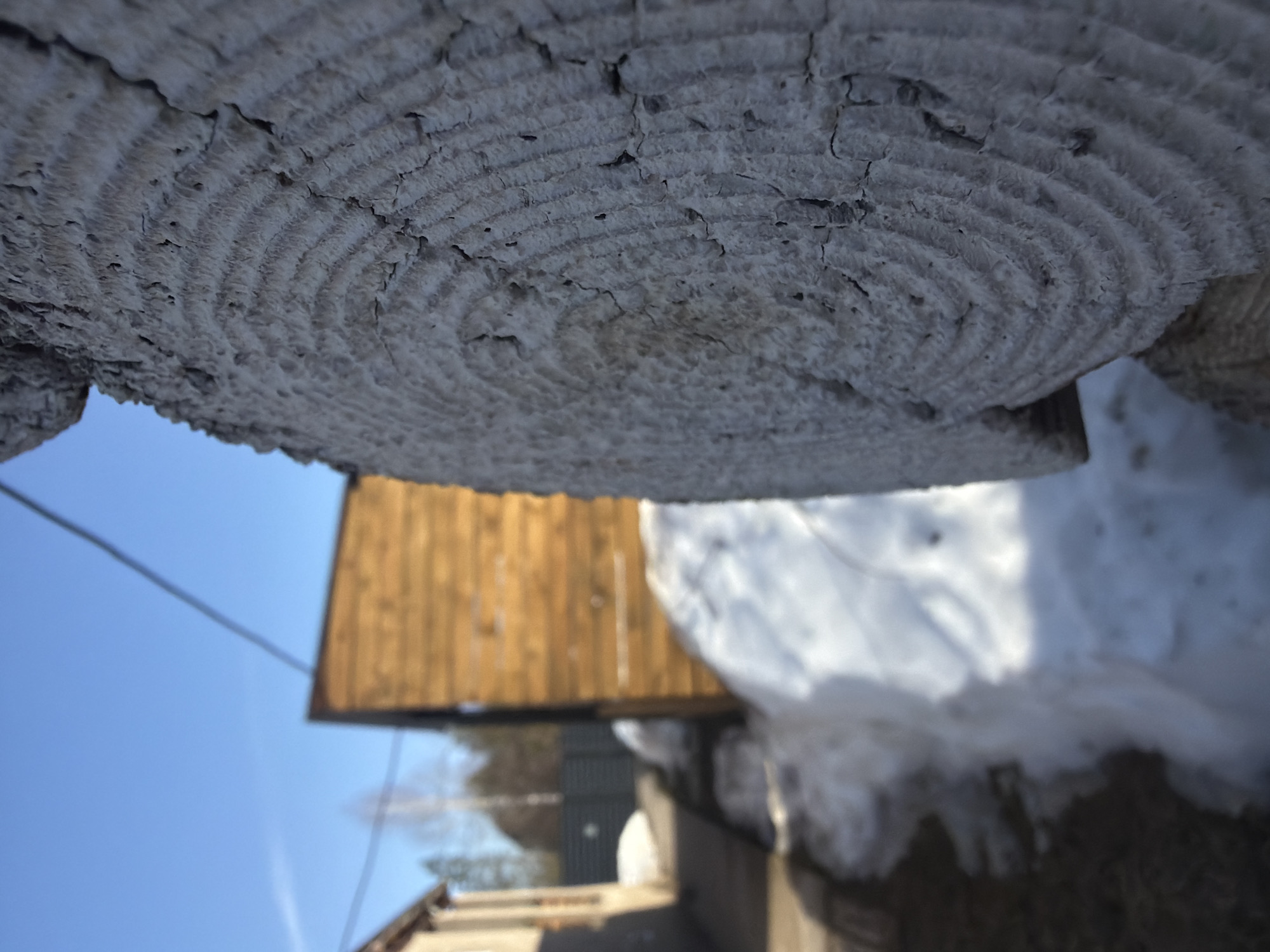 A close-up, low-angle shot shows the cut end of a weathered wooden post, possibly part of a fence or structure. The concentric rings are visible, indicating age and growth patterns. In the background, out of focus, are elements of a rural or suburban environment: a wooden shed or outbuilding, snow-covered ground, a building with what appears to be a window, and a clear blue sky. There are also a few bare branches visible, suggesting it is late winter or early spring. The location is Dubovaya, Russia, as stated in the prompt.