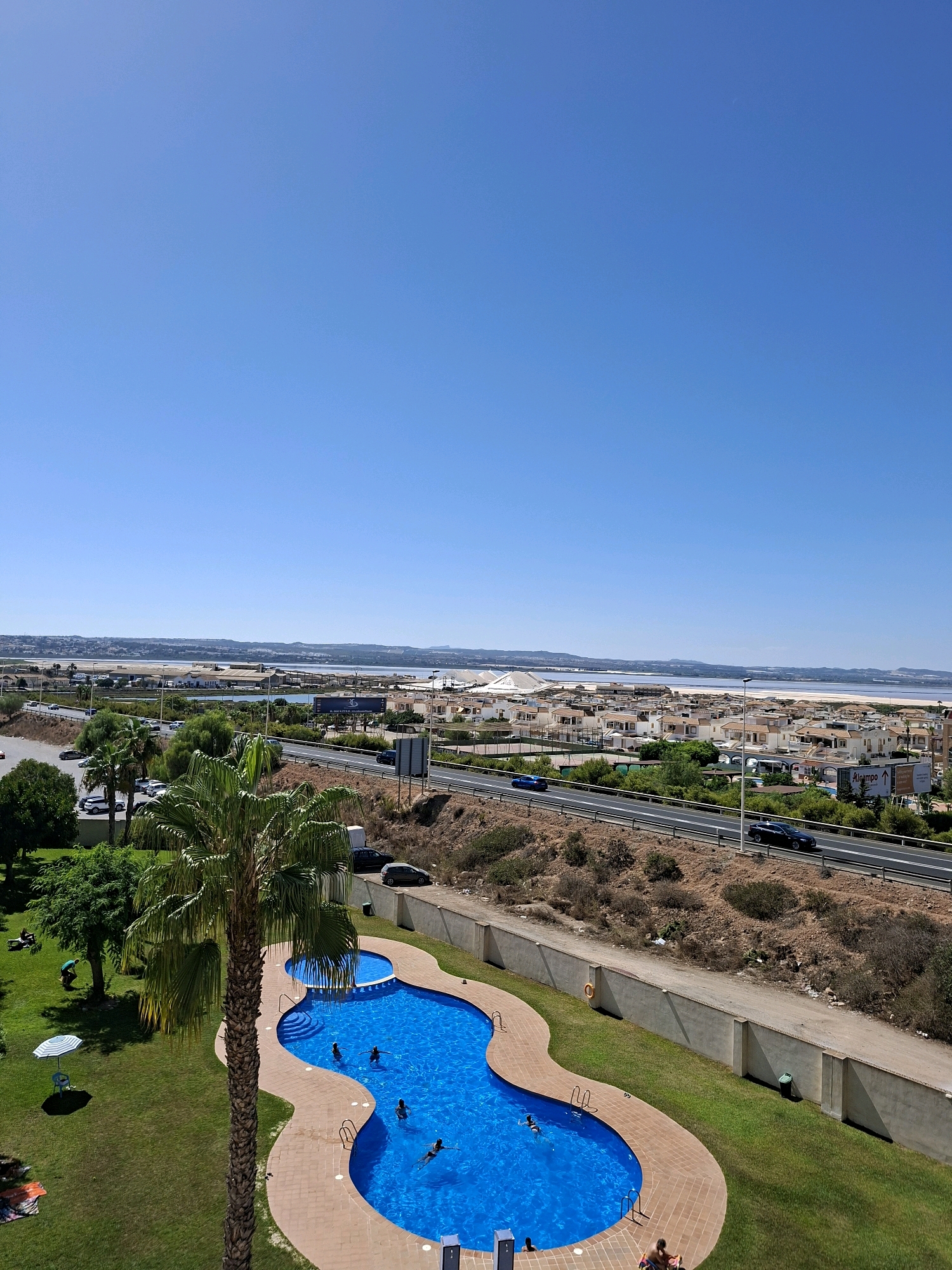 This is a high-angle, full-frame, vertical outdoor shot of a residential area in Torrevieja, Spain, on a clear, sunny day. The image captures a kidney-shaped swimming pool filled with bright blue water and several people swimming and lounging. The pool is surrounded by a tan tile deck and green grass, with a tall palm tree prominently positioned to the left.
In the midground, a multi-lane highway runs horizontally across the frame, with cars driving on it. Beyond the highway, there is a dense collection of residential buildings with light-colored walls and terracotta roofs, characteristic of Spanish architecture. Further in the background, a body of water, likely a salt lake or lagoon, stretches across the horizon, with distant hills or mountains visible. The sky is a clear, bright blue with no clouds.
To the left of the pool, on the grassy area, a person is seen lying on a towel, and another person is standing near a tree. An umbrella is also visible on the grass. The overall scene depicts a leisure and residential environment.