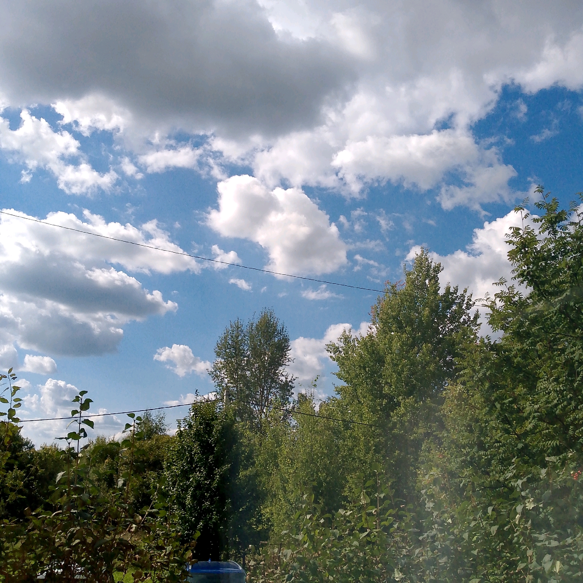 This image depicts an outdoor scene with a sky filled with white and gray clouds against a blue sky. In the foreground, there is dense green foliage, including trees and bushes. A thin black wire stretches horizontally across the upper part of the image, possibly a power line or telephone wire. In the lower left quadrant, a portion of a blue object, likely a car or a container, is visible. The image appears to be taken in a rural or suburban area with a significant amount of vegetation. The location is identified as Nikologory, Russia, suggesting a natural or semi-natural environment within that geographical setting.