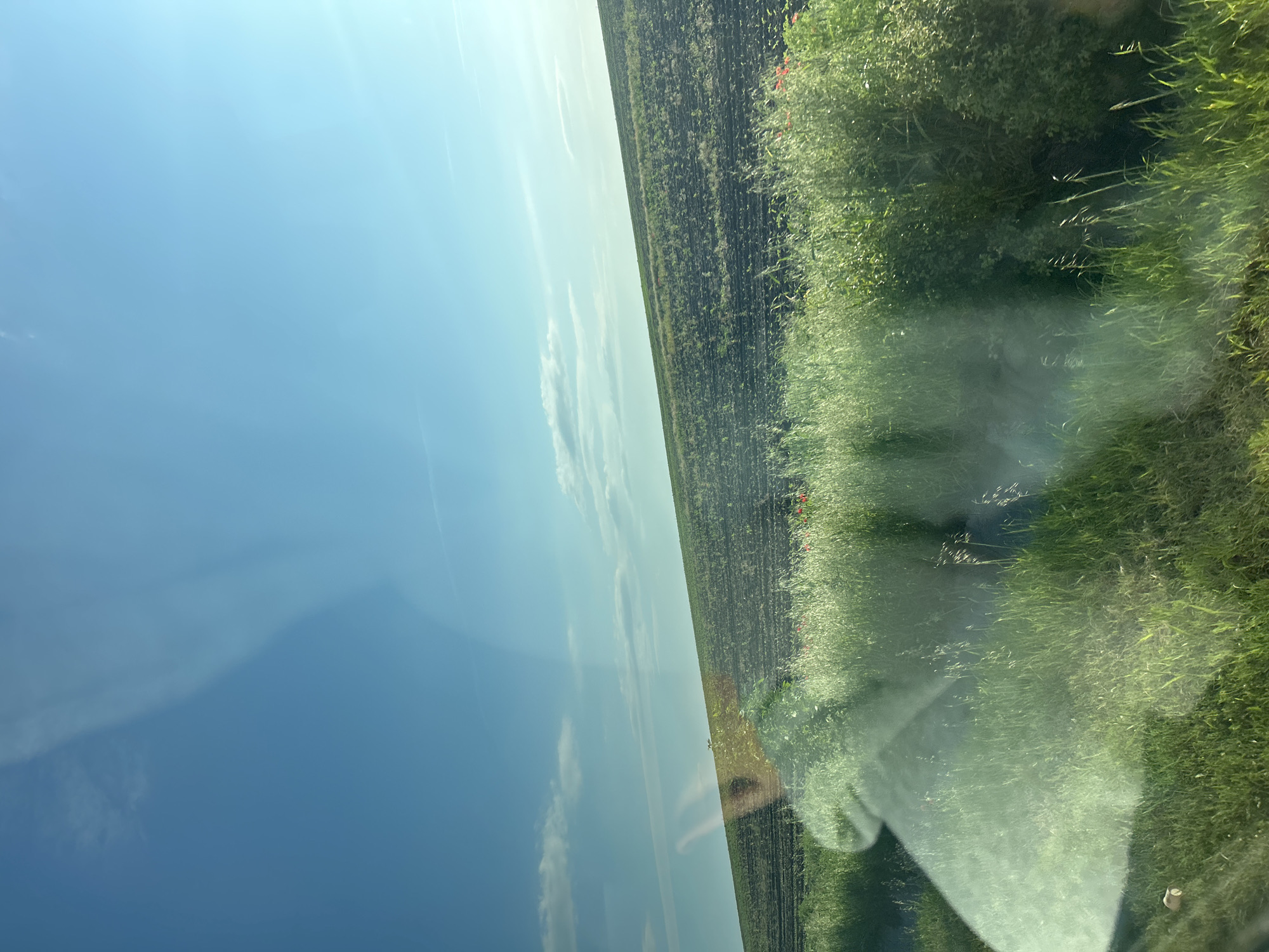 The image shows a view from inside a vehicle, likely a car. The scene appears to be in a rural area, possibly near Zetiovo, Bulgaria. The left portion of the image reveals a clear, blue sky with some wispy clouds. A field of dark soil stretches horizontally across the middle of the image, showing signs of young plants beginning to grow. A border of tall, green grass and vegetation runs along the right edge of the image, adjacent to the field. Reflections are visible on the glass, obscuring the view. The reflections suggest a passenger in the vehicle, possibly a person’s face and hand.
