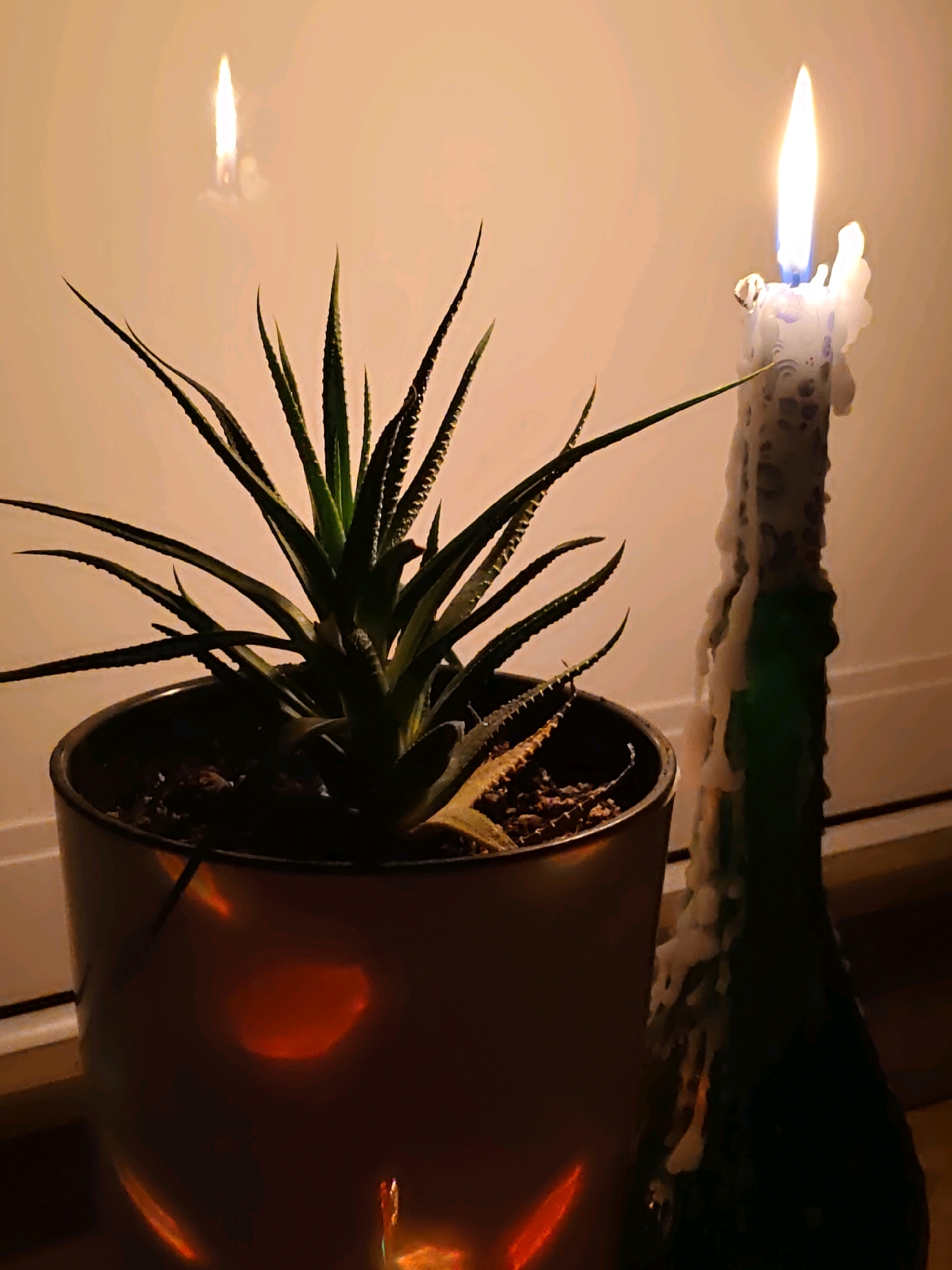 The image shows a potted succulent plant next to a tall, green bottle with a lit candle on top. The candle wax has melted and dripped down the sides of the bottle, creating a textured appearance. The plant is in a metallic pot, and the background is a plain wall with a faint reflection of a candle flame. The overall mood is dim and atmospheric, with the warm glow of the candle casting shadows. There are no people visible in the image, and no indication of the specific location being in Rostov-on-Don, Russia, or any city.