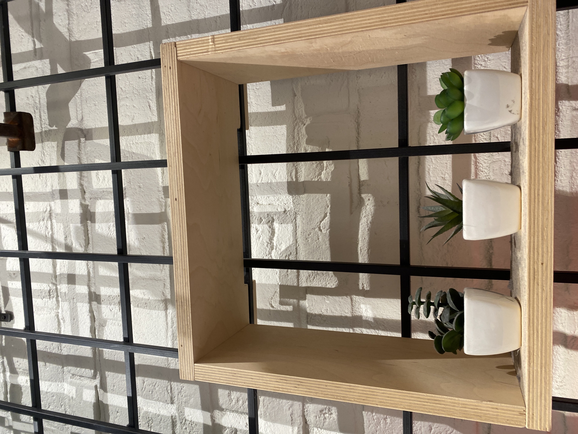 A close-up shows a wooden shelf secured to a white brick wall with a black metal grid. Three small, white, square ceramic pots containing succulents are attached to the shelf. The location is unknown.