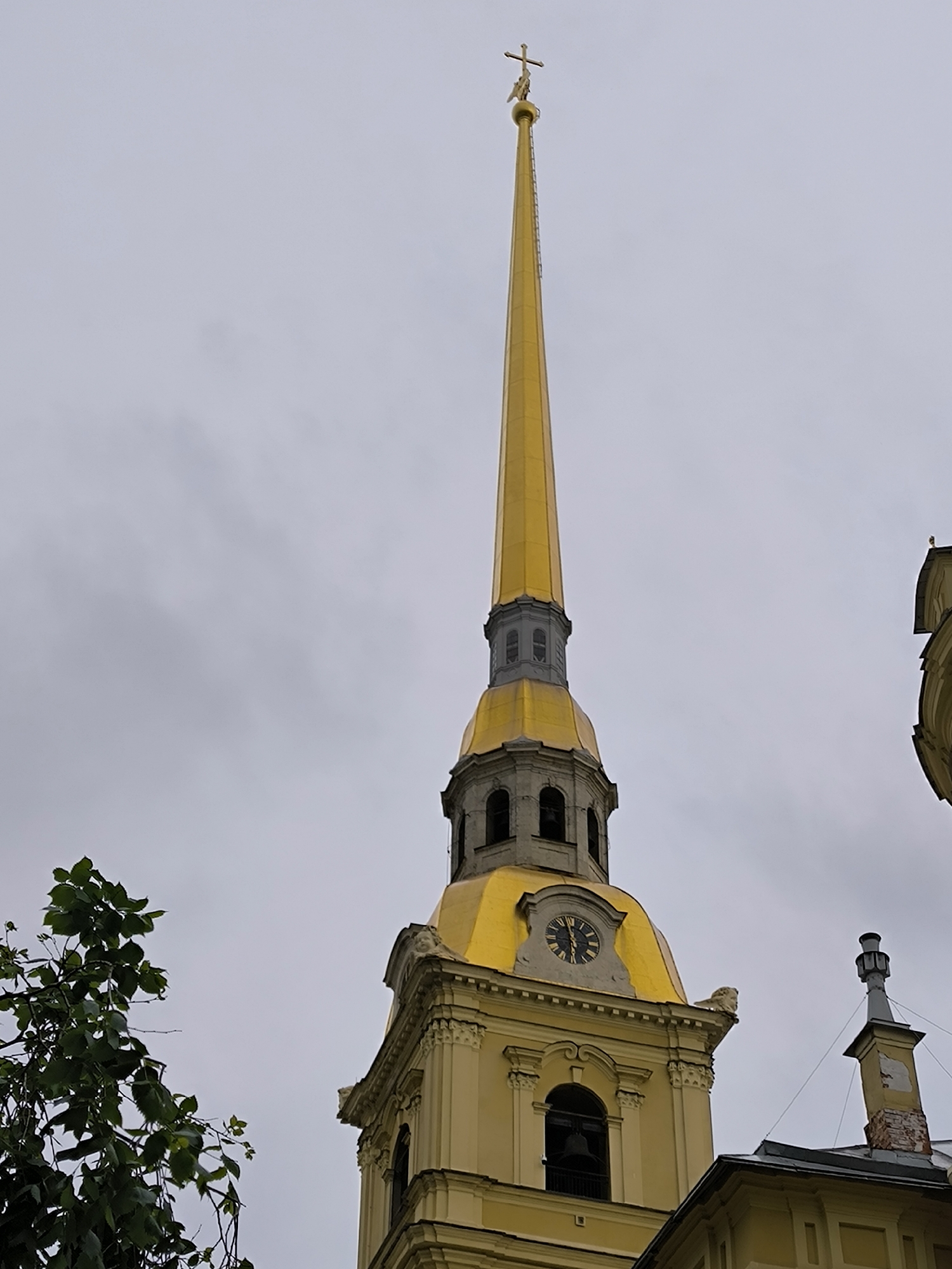 The image shows a low-angle, full shot of the Peter and Paul Cathedral spire in Saint Petersburg, Russia, under a cloudy sky. The spire, adorned with a golden cross at its apex, dominates the center of the frame, with its golden dome and yellowish-beige tower visible below. A clock face is visible on the dome. To the left, a leafy green tree branches out from the bottom left corner. The overall impression is of a grand, historic architectural structure set against a somber, overcast sky.