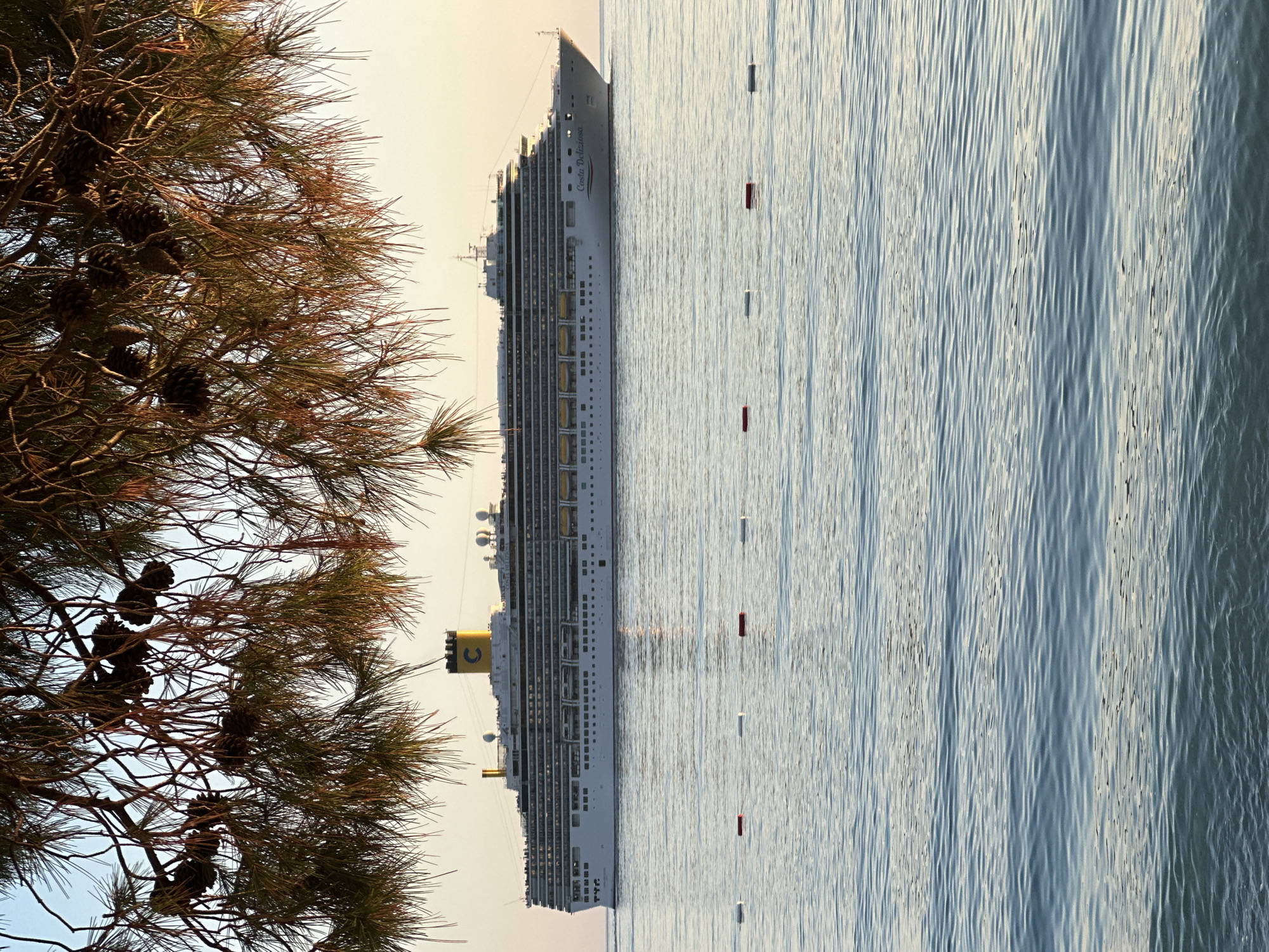 A serene coastal scene unfolds in Bar, Montenegro, featuring a large cruise ship against a backdrop of tranquil waters and a bright sky. In the foreground on the left, a dense coniferous tree, likely a pine, is heavily laden with numerous dark brown pinecones and vibrant green needles, its branches extending into the frame.
The central and right portions of the image are dominated by a massive white cruise ship, identified by the prominent text "Costa Deliziosa" visible on its bow. The ship boasts many decks with rows of windows and balconies, and a distinctive yellow funnel adorned with a blue 'C' logo. It appears to be either docked or anchored in calm, gently rippling water that reflects the soft light from above. Several red and white cylindrical buoys are sparsely scattered across the water in a loose line.
The lighting suggests either early morning or late afternoon, with a bright, light-colored sky creating a peaceful atmosphere. The water's surface shows subtle textures from the gentle ripples, indicating very calm conditions. No people are visible, emphasizing the quiet grandeur of the ship and the natural environment. The overall impression is one of peaceful maritime beauty.