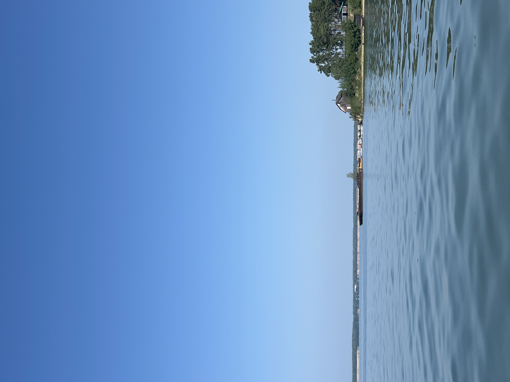 A wide, calm body of water fills the lower half of the frame, reflecting the clear blue sky above. In the distance, a long, flat barge is visible on the water, heading towards the left. Along the right edge of the water, a tree-lined shore is dotted with several buildings, including a rustic wooden house with a dark roof and a smaller, modern-looking structure with white walls and a green roof. The shore itself appears to be sandy in some areas, with dense green foliage and tall pine trees dominating the landscape. The overall scene depicts a peaceful, natural environment with signs of human habitation.