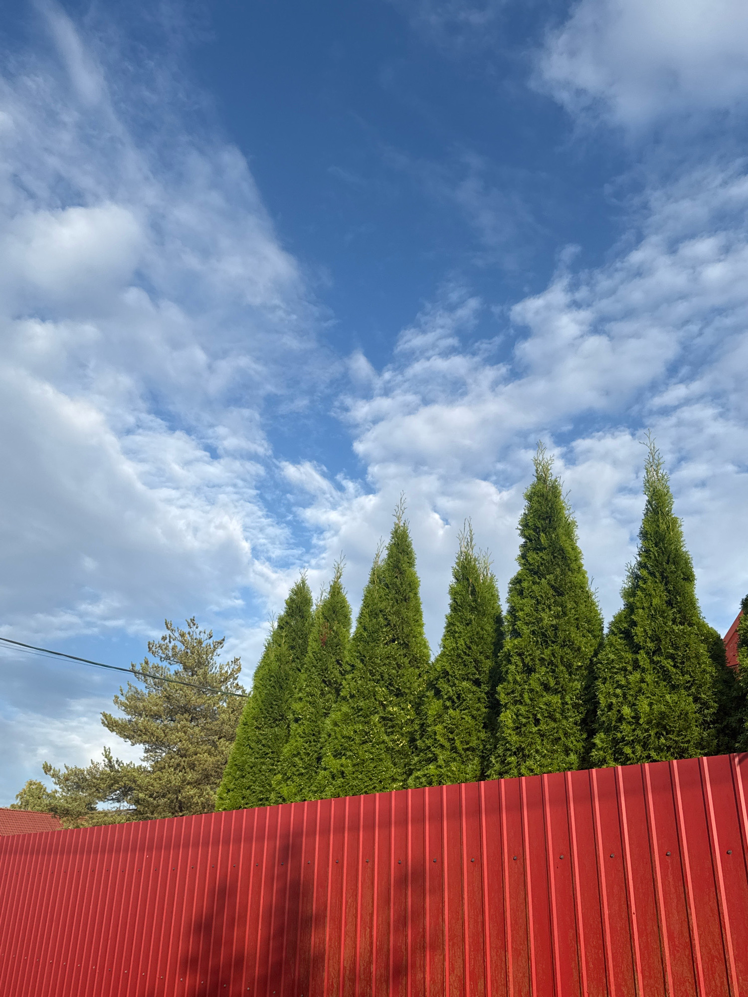 The image depicts a bright, partly cloudy sky over a row of green coniferous trees. In the foreground, a bright red corrugated metal fence runs horizontally across the frame. Behind the fence, the trees are densely packed and form a vibrant green line. To the left of the coniferous trees, a sparser, deciduous tree with lighter green foliage is visible. A thin black wire stretches across the upper left portion of the image, disappearing behind the trees. The scene appears to be an outdoor setting, possibly a residential area or a park, located in or near Интурист Снт, Russia, as suggested by the context. There are no people or animals visible in the image. The overall impression is one of a sunny day with a clear blue sky punctuated by fluffy white clouds, set against a backdrop of lush greenery and a striking red fence.