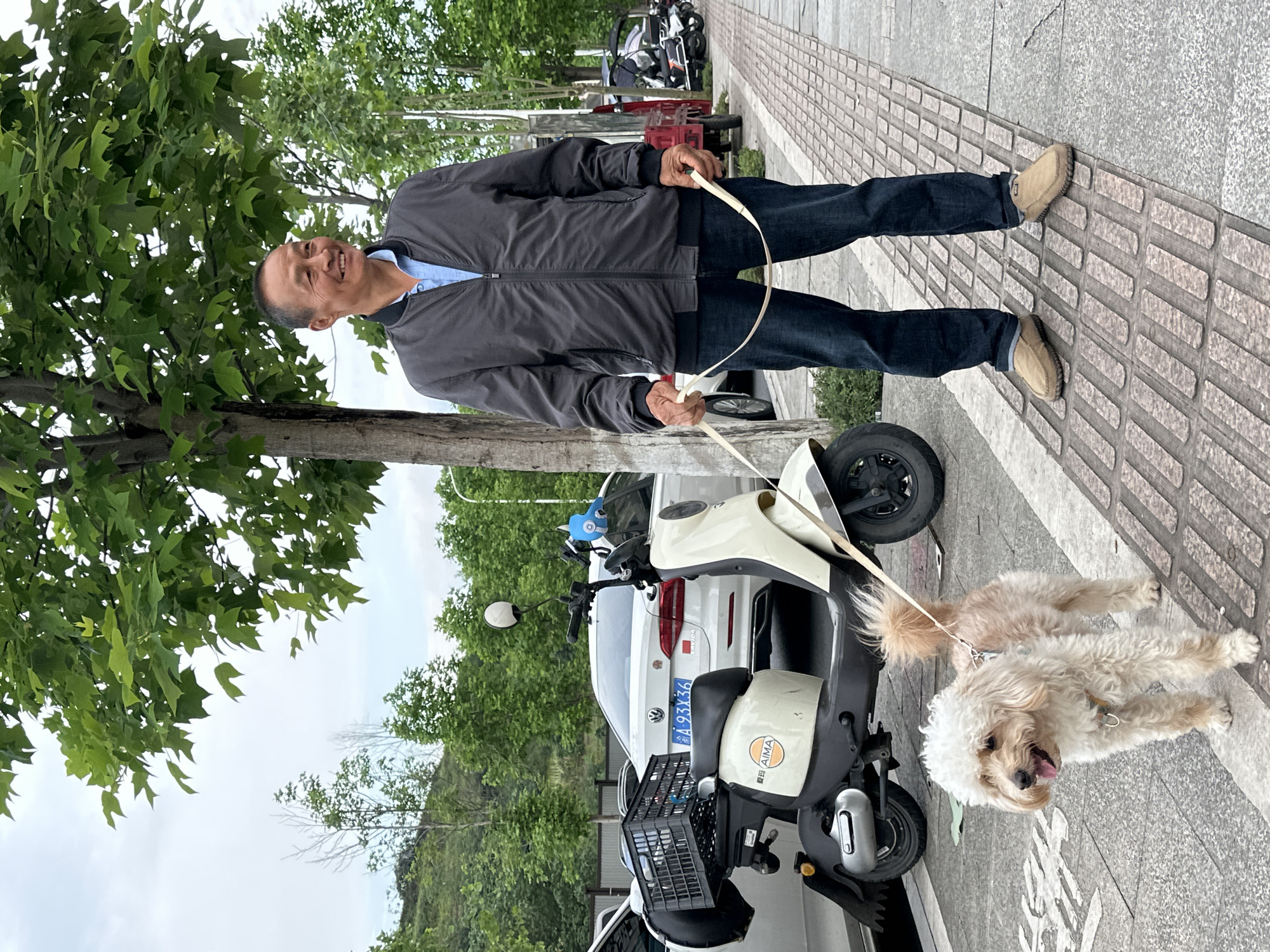 On a sidewalk in Jiangjin, China, an Asian man walks two small dogs. The man is wearing a grey jacket, blue shirt, dark blue jeans, and tan shoes. He is holding two dog leashes. The dogs are light brown and white. A white electric scooter is parked nearby. Behind the scooter is a white car with the license plate 渝A 93X36. Trees line the street. The sky is overcast.
