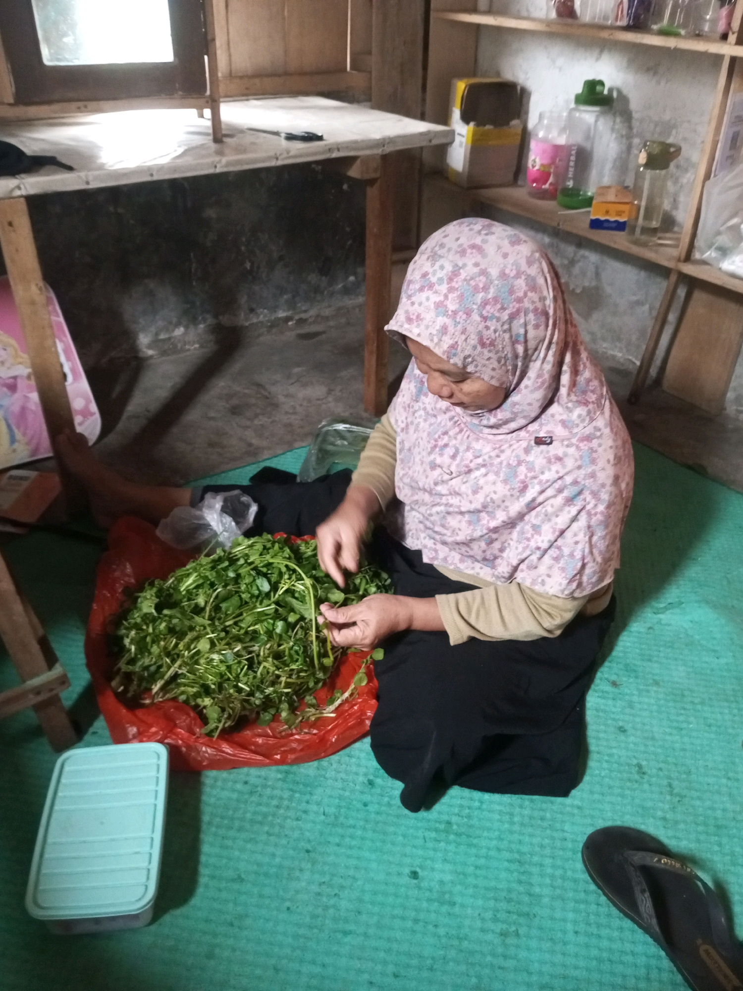 In Kalibeber, Indonesia, an elderly woman wearing a floral hijab and a beige long-sleeved shirt is crouched on a teal floor mat. She is sorting through a large pile of green leafy vegetables, some of which are contained within a red plastic bag. To her left, a light blue plastic container with a lid rests on the mat. In the background, a wooden table with a white surface is visible, as are shelves filled with various items, including boxes, bottles, and containers. The overall environment appears to be an indoor space with basic furnishings.