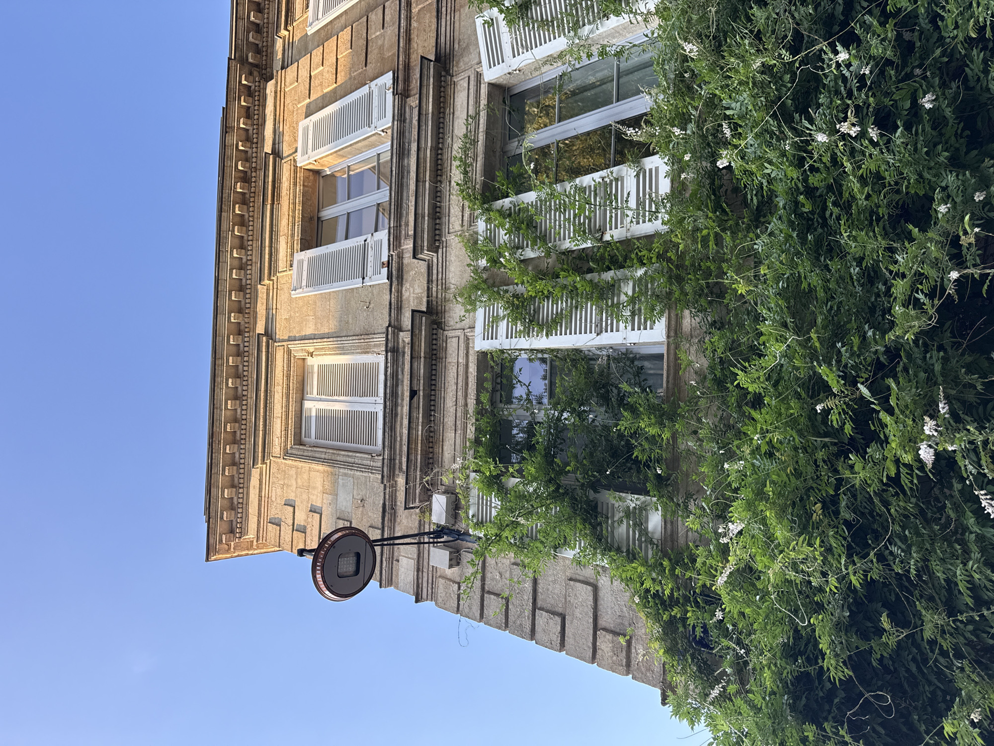 The image shows the facade of a building with a clear blue sky in the background. The building appears to be made of stone blocks and features several windows with white shutters. A lush green vine with small white flowers is growing up the side of the building, partially obscuring some of the windows. A circular street lamp with a modern LED fixture is mounted on a pole extending from the building. The perspective is from a low angle looking up, and the image is rotated 90 degrees counter-clockwise. The lighting suggests it is daytime, possibly late afternoon, given the warm light on the building. The scene evokes a sense of urban charm, with the greenery adding a touch of nature to the architectural structure. No visible text is present in the image. The context of Bordeaux, France, suggests this could be a building in a historic district of the city.