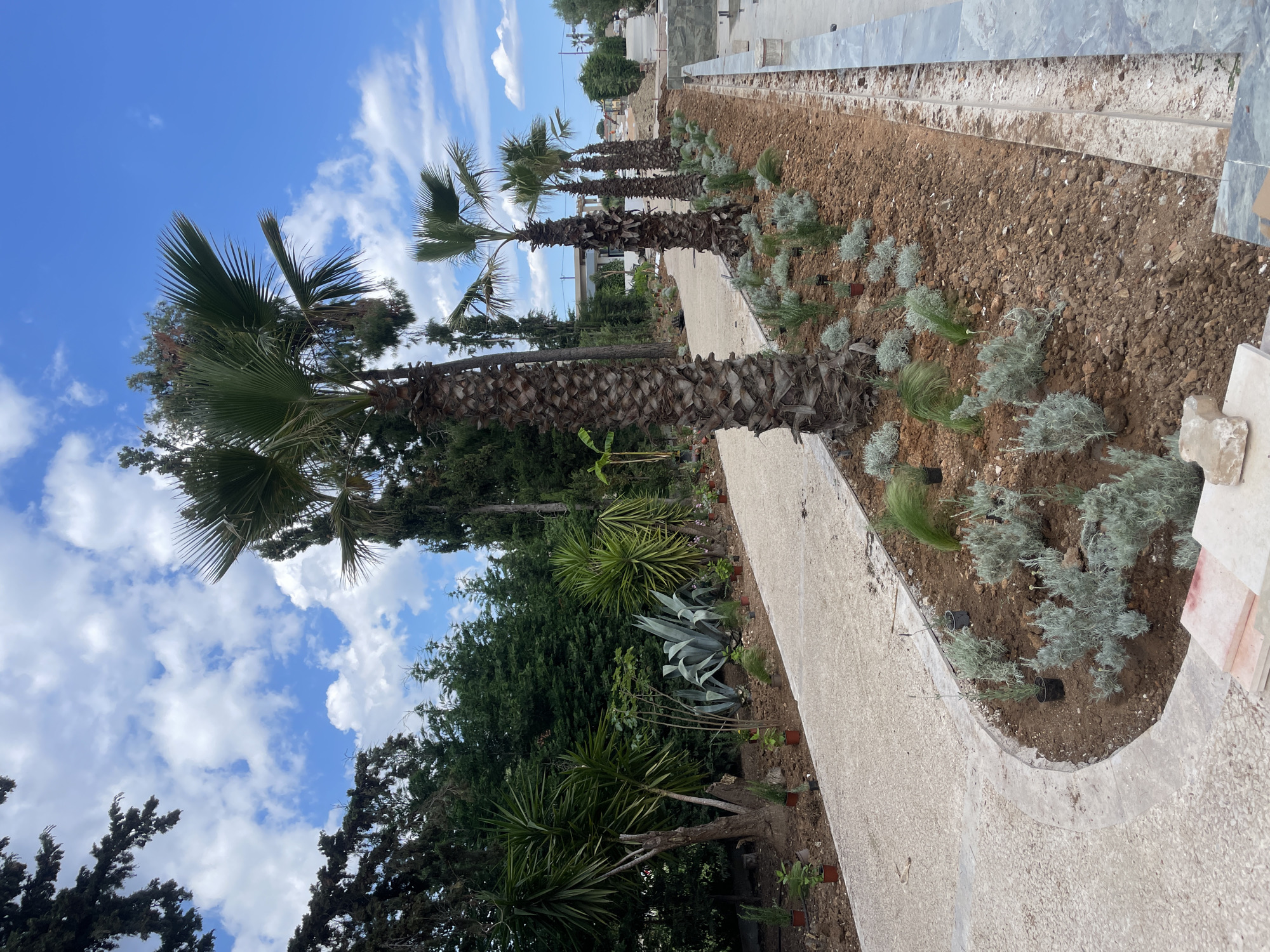 The image depicts a landscaped area in Πόρτες, Greece. Several palm trees are planted in a row along a paved walkway. Adjacent to the walkway is a garden bed with soil and various small plants, some still in pots. To the left of the garden bed, there is denser vegetation, including trees and shrubs. The sky is visible above the trees and features blue sky with scattered clouds. A building is discernible in the background.