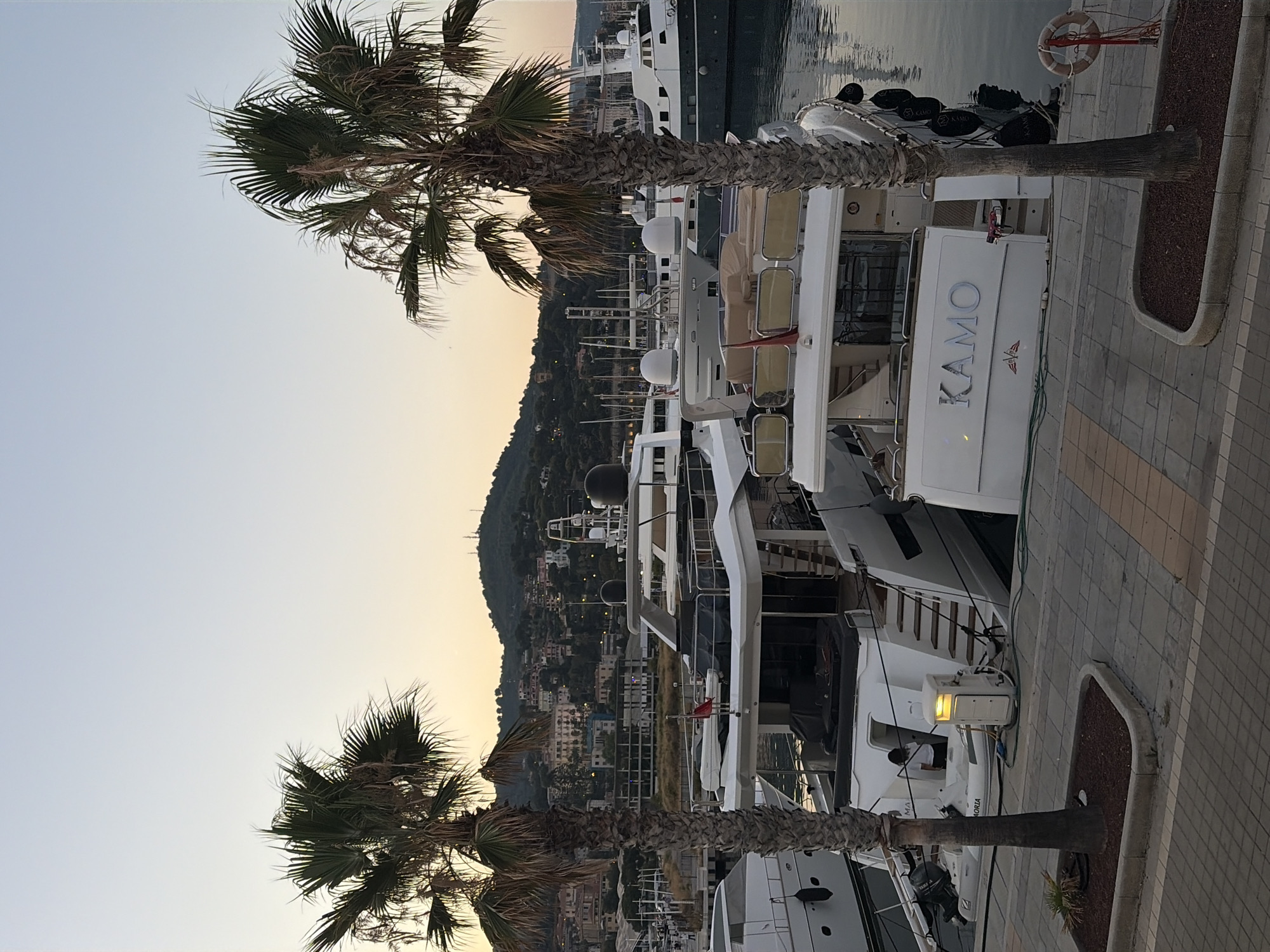 The image shows a marina in Imperia, Italy. Two palm trees frame the scene, their fronds reaching towards the sky. In the background, a hillside is covered with buildings and lush greenery, suggesting a Mediterranean setting. Several large yachts are docked, their white hulls gleaming. One yacht in the foreground has the name "KAMO" emblazoned on its side in large silver lettering. A small red flag flutters from a mast on one of the boats. The water in the marina is calm, reflecting the muted colors of the sky. There are also several black buoys floating near the docked boats. The paving stones on the walkway are in a herringbone pattern, with a border of gravel and plants. A life preserver ring hangs on a red rope near the edge of the dock. The light suggests it is either early morning or late evening, with a soft glow to the sky. The overall atmosphere is peaceful and serene, conveying a sense of quiet luxury.