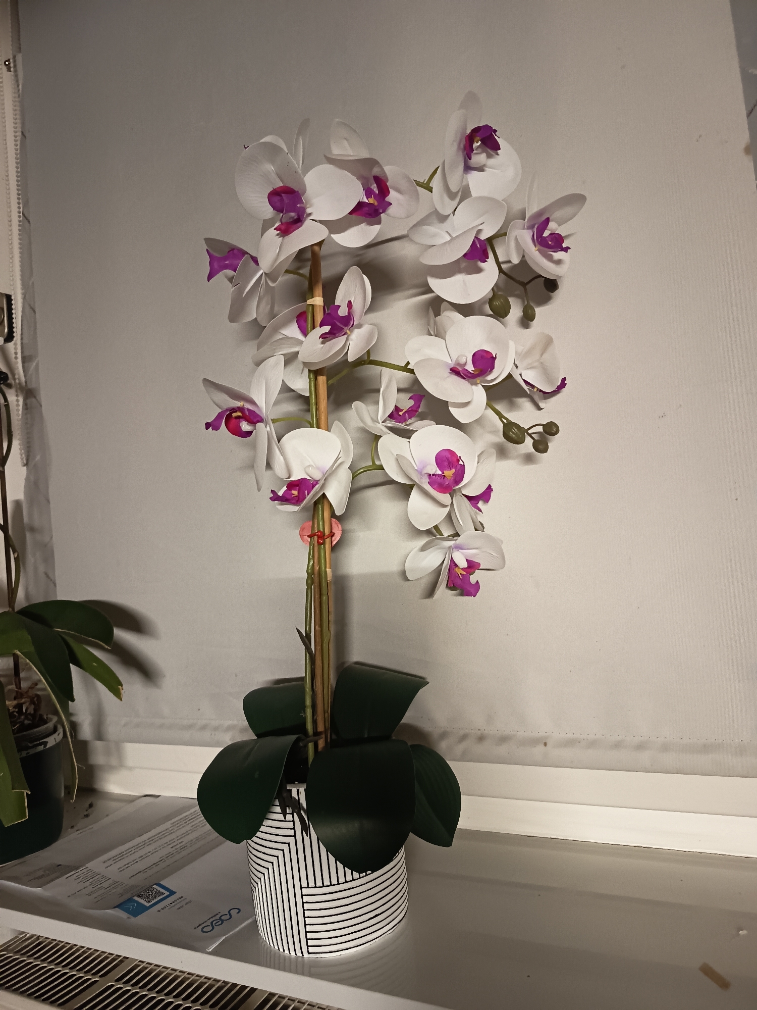 An artificial white orchid plant with purple accents stands in a black and white striped pot on a white windowsill. The orchid has multiple blooms and buds on thin stalks. To the left of the orchid, a real green plant in a dark green pot is partially visible. Documents are laid out on the windowsill beneath the plants. The background is a plain, textured grey wall. The image appears to have been taken indoors, possibly in a residential setting in Schimsheim, Germany. There are no people or animals present in the image.