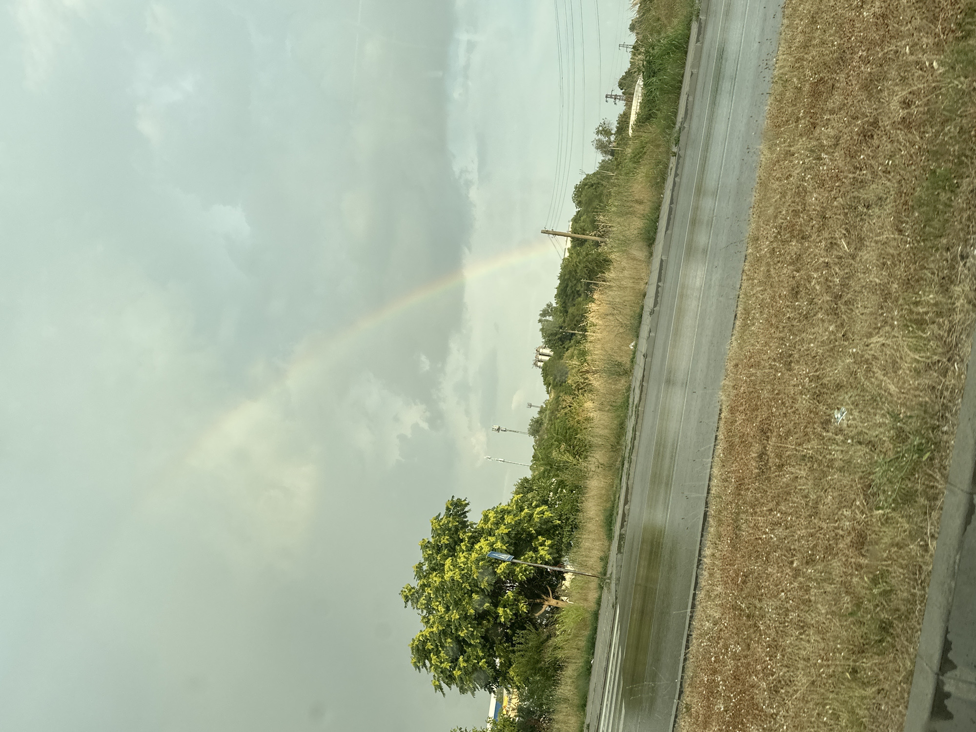 The image depicts a cloudy sky with a faint rainbow visible. A wet asphalt road runs along the right side of the frame, bordered by dry grass and vegetation. In the distance, trees and utility poles are present. A lush green tree is prominent in the foreground, with a blue street sign on a pole nearby. The overall scene suggests a post-rain environment, likely in the afternoon or evening given the cloudy conditions. The location is Ruse, Bulgaria. No people are visible in the image.