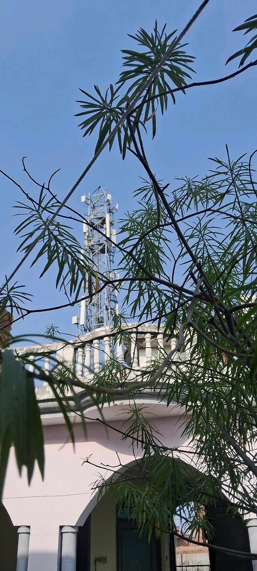 In Meerut, India, a cell tower stands tall against a clear blue sky, partially obscured by the leaves and branches of a tree. The tower is a complex lattice structure with multiple antennas mounted on it. Below the tower, the rooftop of a building is visible, featuring a white balustrade with decorative pillars. The building itself is painted a light pink color and has an arched entrance. The scene is framed by the lush green foliage of the tree, suggesting it is an outdoor setting within the city.