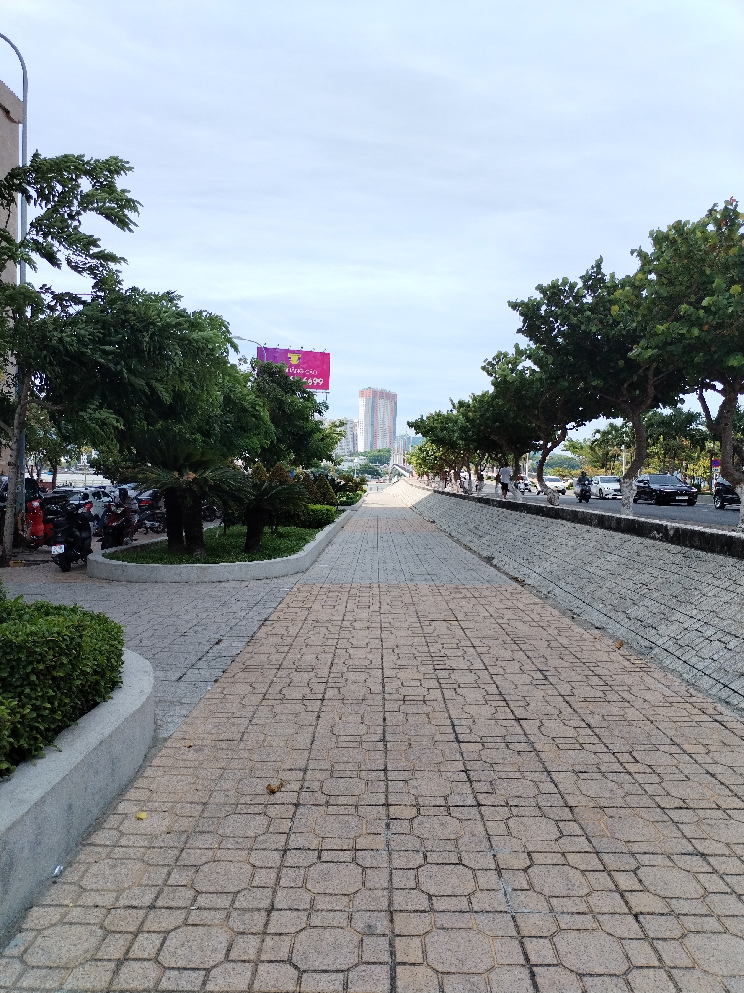 The image depicts a street scene in Nha Trang Ward, Vietnam, characterized by a wide pedestrian walkway constructed with interlocking concrete pavers. The walkway runs alongside a road with moderate traffic, including cars and motorcycles. Lush green trees line the road, providing shade and separating the walkway from the vehicular lane. Beyond the trees, a tall building is visible in the distance, along with a billboard displaying text in Vietnamese. The sky is overcast with a pale blue hue. The environment appears urban and well-maintained, with a concrete barrier and a sloped, textured surface on the right side of the walkway. A few leaves are scattered on the pavers.