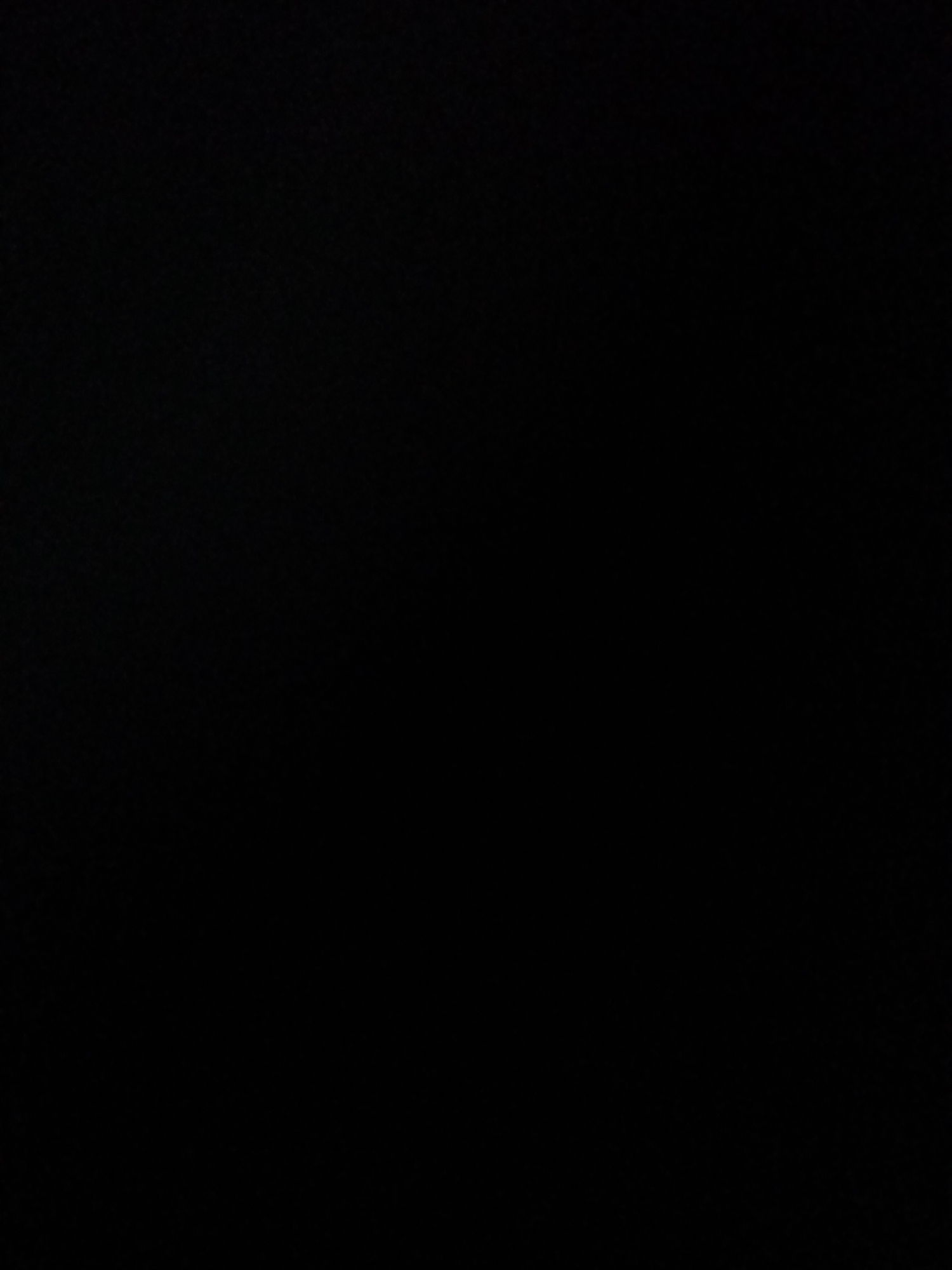 This media file is completely black, indicating that it is either a corrupted image file, an intentionally black image, or the content is not visible due to underexposure. There are no discernible subjects, objects, scenes, activities, or notable details. No text is visible. Therefore, it is not possible to provide any further description or context, including location, time of day, weather, or emotions.
