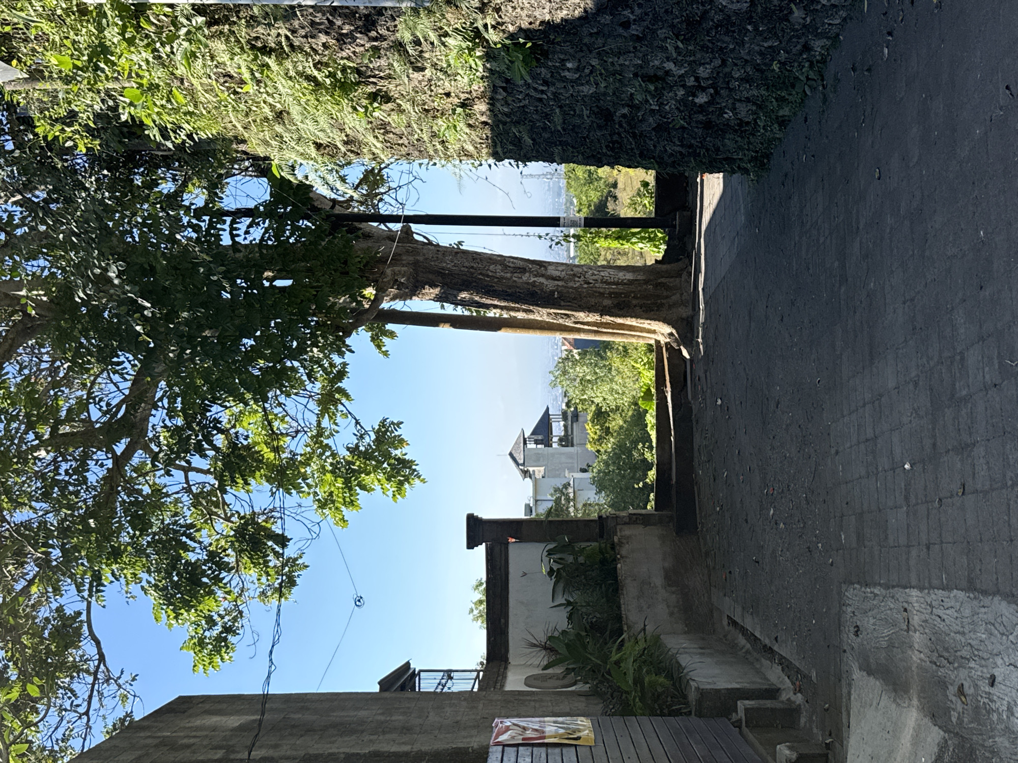 The image depicts a paved pathway leading through a gap between two structures. On the left, a grey concrete wall with horizontal wooden planks at its base is visible. To the right, a textured, dark stone wall covered in lush green vegetation rises vertically. A large tree with a thick trunk and dense foliage dominates the center of the frame, its branches extending towards the clear blue sky. In the background, a white building with a dark-tiled roof and an open pavilion-like structure can be seen, suggesting a scenic overlook. The pathway is made of interlocking dark grey pavers, littered with some debris and leaves. The scene appears to be an outdoor setting in Kuta Selatan, Indonesia, possibly a public space or part of a resort, given the architecture and tropical vegetation. The lighting suggests it is daytime with bright sunlight casting shadows. There are no people or animals visible in the frame.