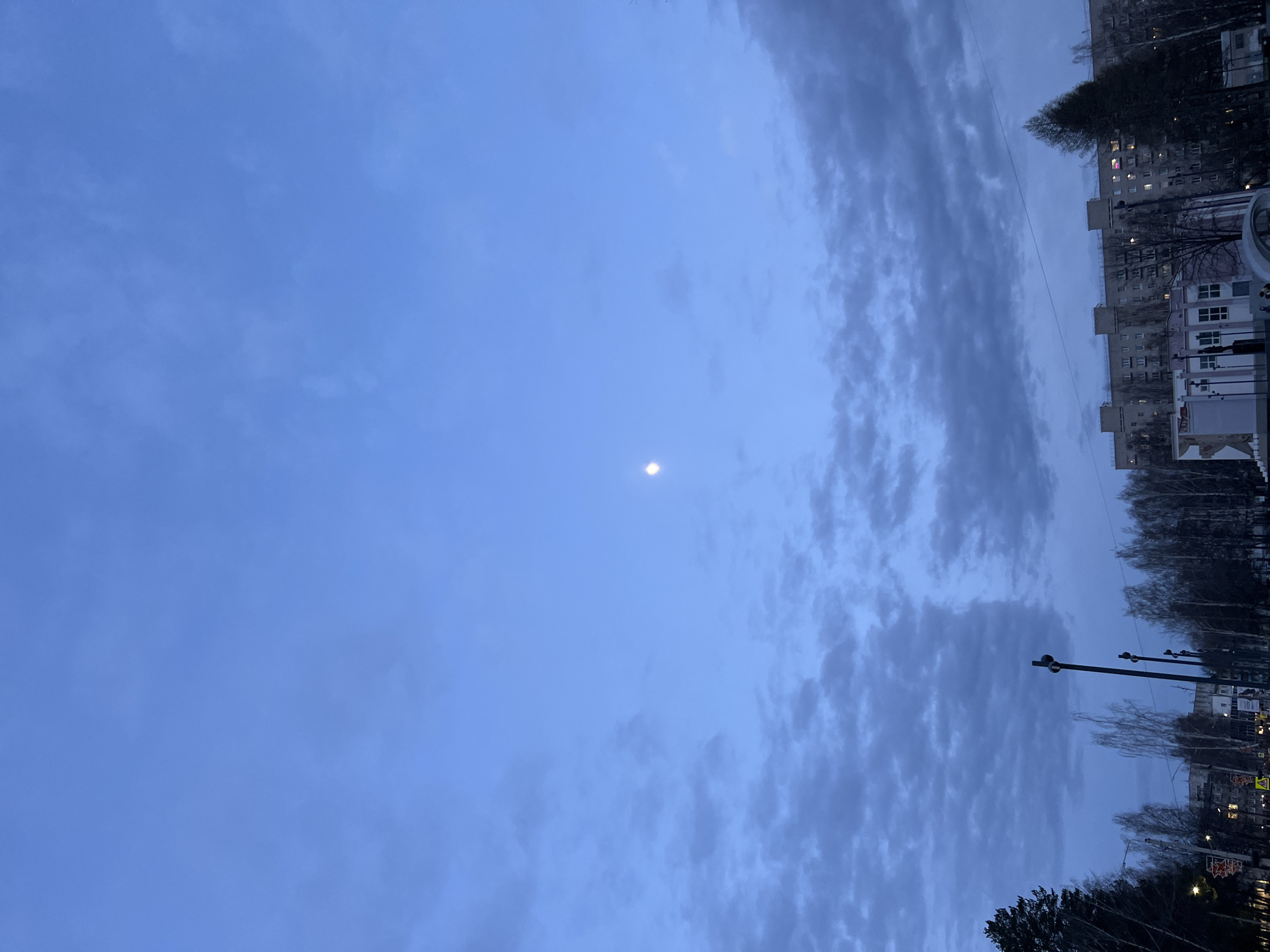 The image, originally oriented vertically, captures a twilight or early night scene over Chaikovsky, Russia. The vast expanse of the sky dominates the left and central portions, rendered in a deep blue hue. A small, bright, circular light, likely the moon, is prominently visible in the middle-left of the frame. The sky transitions from relatively clear on the far left to partly cloudy towards the center and right, where patches of darker, textured clouds are visible.
Along the right side of the image, the urban landscape stretches vertically. Multi-story buildings, consistent with residential or older commercial architecture, line the horizon. Some windows in these buildings show illuminated interiors, suggesting occupancy. Bare trees, indicating late autumn or winter, form a dark silhouette against the sky, interspersed with and partially obscuring the buildings. Several streetlights are also visible, their tops glowing faintly. A thin, dark utility wire or cable runs horizontally across the upper-right section, extending over the buildings and trees.
No people or discernible activity are visible in the scene. The low light, presence of the moon, and artificial lights confirm the time of day as evening or very early morning. The overall mood is quiet and still. No clearly readable text is visible on any signs or structures, though faint, indistinct shapes like a yellow directional sign and a red star symbol can be glimpsed in the lower-right corner.