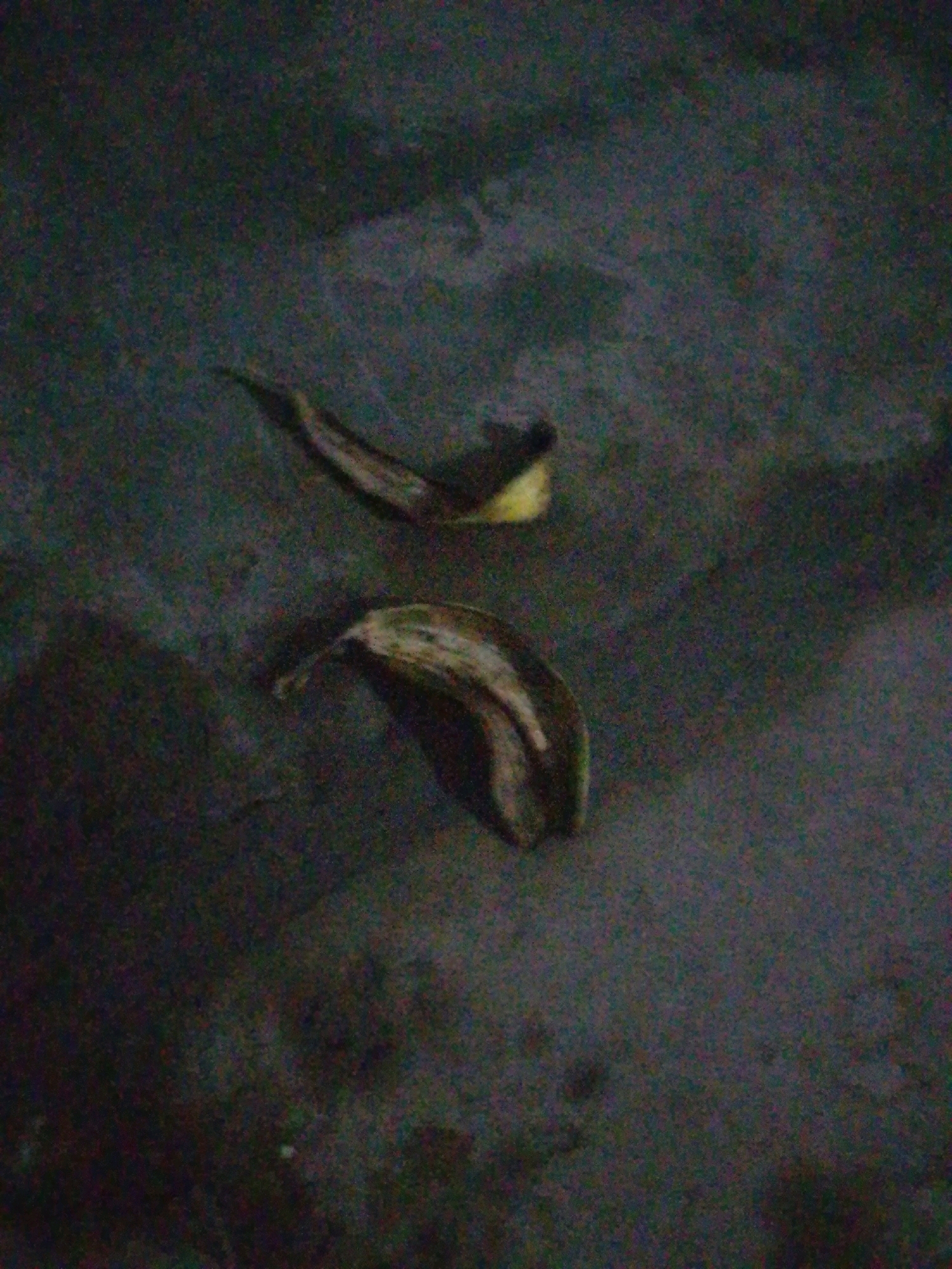 The image shows two banana peels on a dark, textured surface. The peels are curved and appear to be in various stages of decomposition. The lighting is dim, casting shadows and creating a grainy effect on the image. The location is described as Unknown, Unknown.