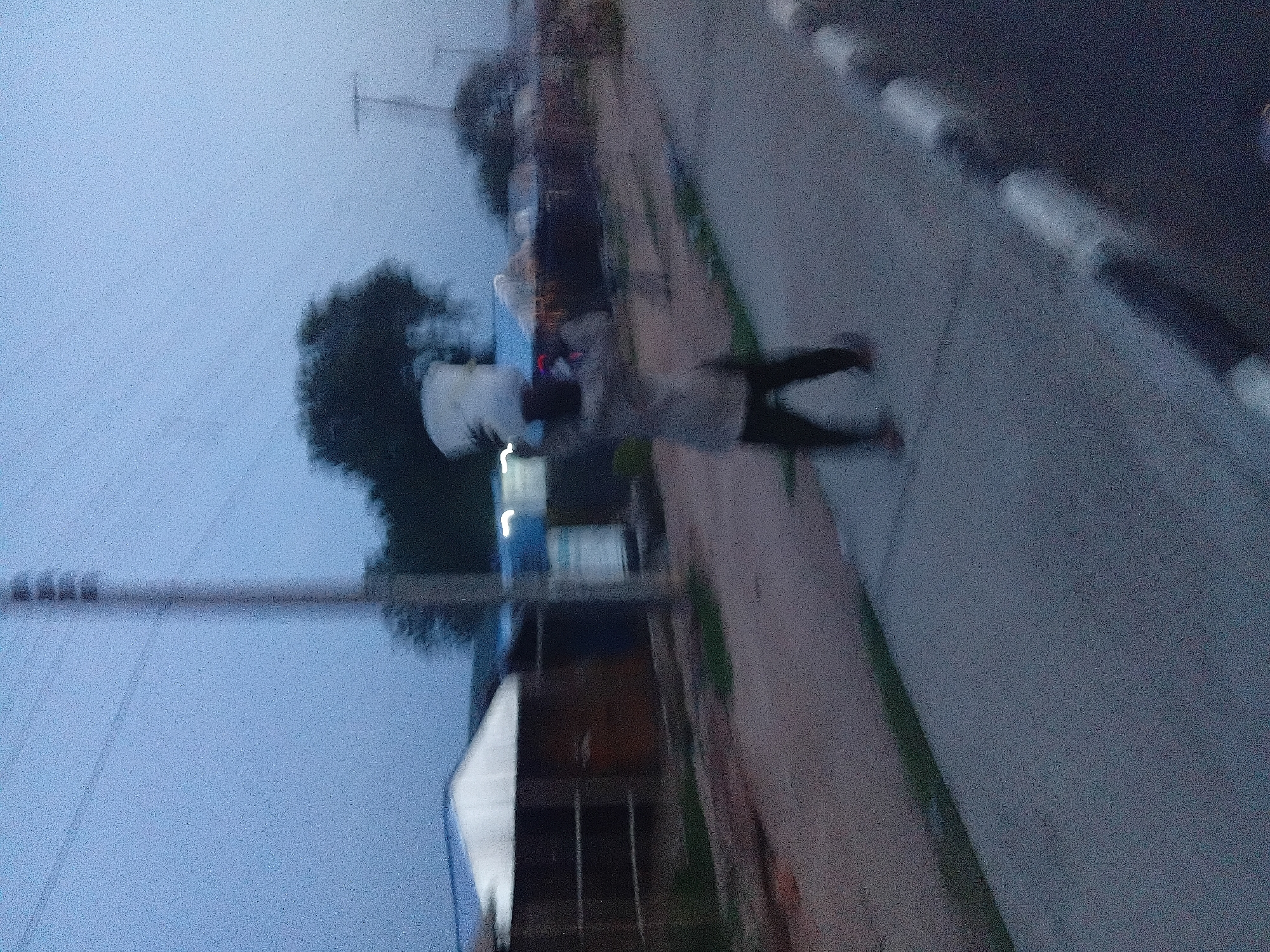 A person is seen walking on a sidewalk near a road. The person is wearing a white top and dark pants and appears to be in motion. In the background, there are trees, buildings, and power lines, suggesting an urban or semi-urban environment. The lighting suggests it is dusk or dawn, as the sky is a soft blue and there are some artificial lights visible in the distance. The overall scene is somewhat blurry, possibly due to camera movement or low light conditions. The image appears to have been taken in Jalingo, Nigeria.