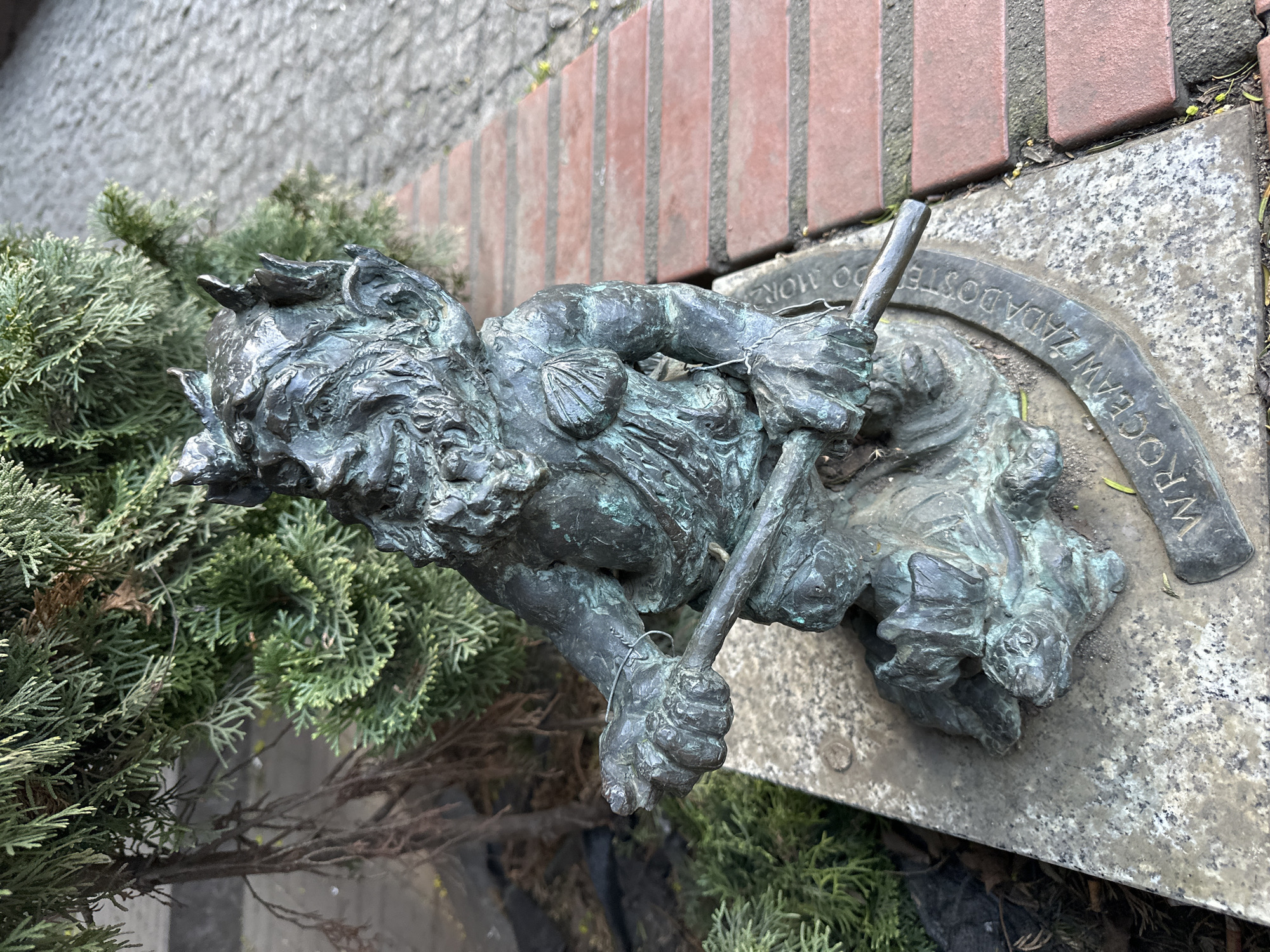 A ground-level, slightly tilted shot reveals a weathered, bronze dwarf statue from Wrocław, Poland. The statue, positioned on a stone base, depicts a gnome-like figure with horns, holding a long pole. The base features an inscription in Polish. The statue is situated beside a small conifer shrub. The background includes a red brick border and a paved surface.