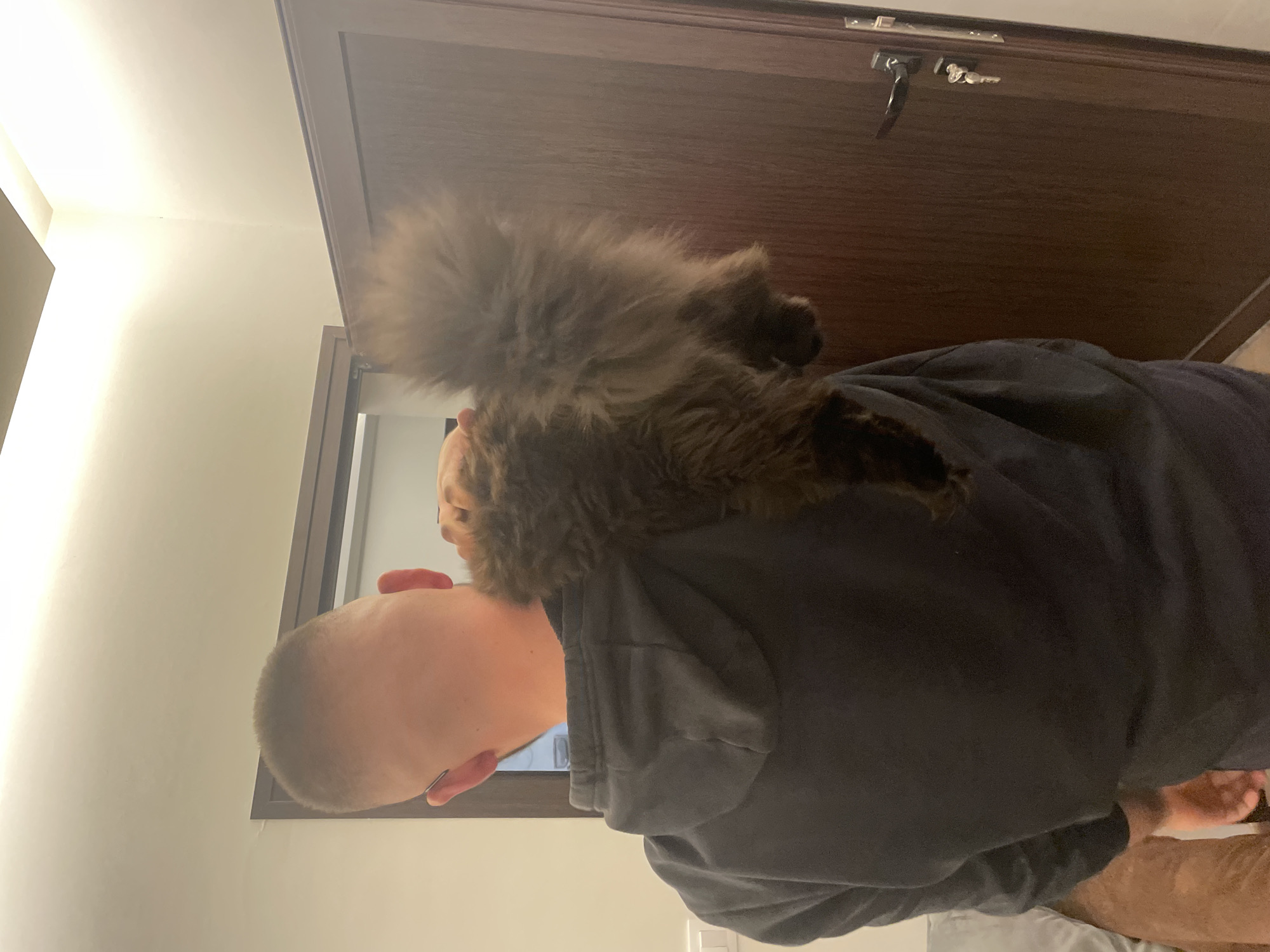 A gray cat is perched on the left shoulder of a bald-headed man wearing a dark gray hooded sweatshirt. The man is standing in what appears to be a room with light beige walls. A dark brown wooden door with a lock and key is visible behind the man and cat. The location is unknown and there is no data indicating the city of Sofia, Bulgaria.