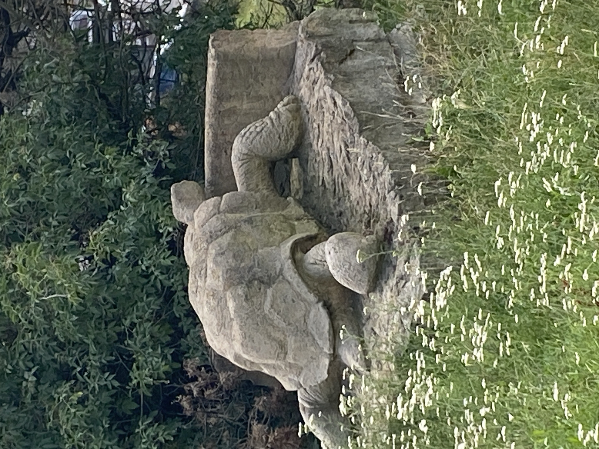 A stone sculpture of a tortoise is positioned on a rough, stepped stone base. The tortoise is facing right, with its head and front legs extended forward. The sculpture is situated in an outdoor environment with lush green foliage and a field of small white flowers in the foreground. The background consists of dense trees and some indistinct structures, possibly part of the urban landscape of Bílina, Czechia. The lighting suggests it is daytime.