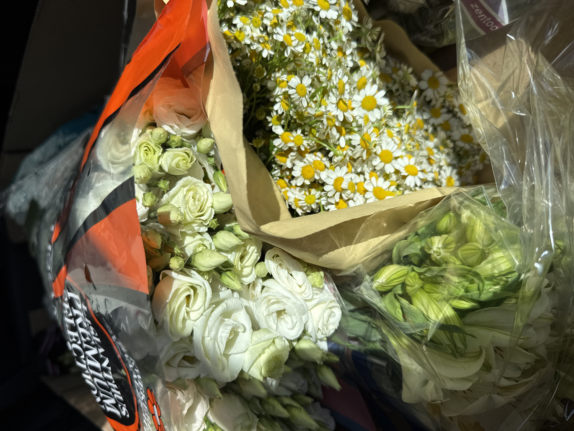 The image displays three distinct bouquets of fresh flowers contained within various packaging, positioned in a dark, enclosed space consistent with a vehicle interior.
In the upper-left, a bouquet of white Eustoma (Lisianthus) flowers is partially visible. The flowers are a mix of fully open blooms and closed buds. This bouquet is encased in an orange and black plastic wrap, bearing upside-down text that reads "PREMIUM SELECTION" and "LISIANTHUS", along with a stylized orange flower logo.
To the right and slightly below the Lisianthus, a dense bouquet of small white flowers with prominent yellow centers, consistent with chamomile or feverfew, is present. These flowers are wrapped in a light brown paper sleeve.
In the lower-left quadrant, a bouquet consisting of white and green Alstroemeria flowers, predominantly in bud form, is visible, enclosed within clear plastic wrapping.
The scene is illuminated by a strong, localized light source, casting reflections on the plastic packaging and highlighting the textures of the flowers. The background is dark and out of focus. A small portion of a purple object with partially visible white text "zentoo" is discernible in the bottom right corner, partially obscured by clear plastic.
No individuals are depicted in the image. The specific location within the city of Izhevsk, Russia, cannot be determined from the visual information provided.