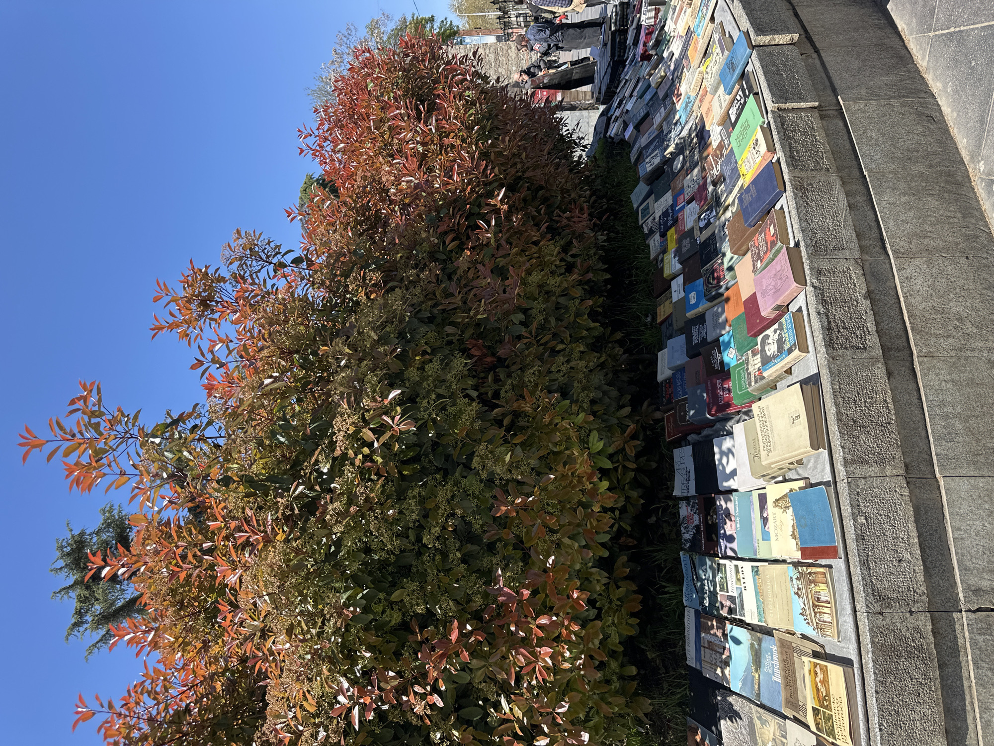 The image shows a book market set up along a stone wall in Tbilisi, Georgia. A large bush with red and green leaves partially obscures the books. People are visible in the background. The sky is clear and blue. The books are displayed in rows along the wall. The visible titles and covers suggest they are used books, likely related to art, literature, and travel.