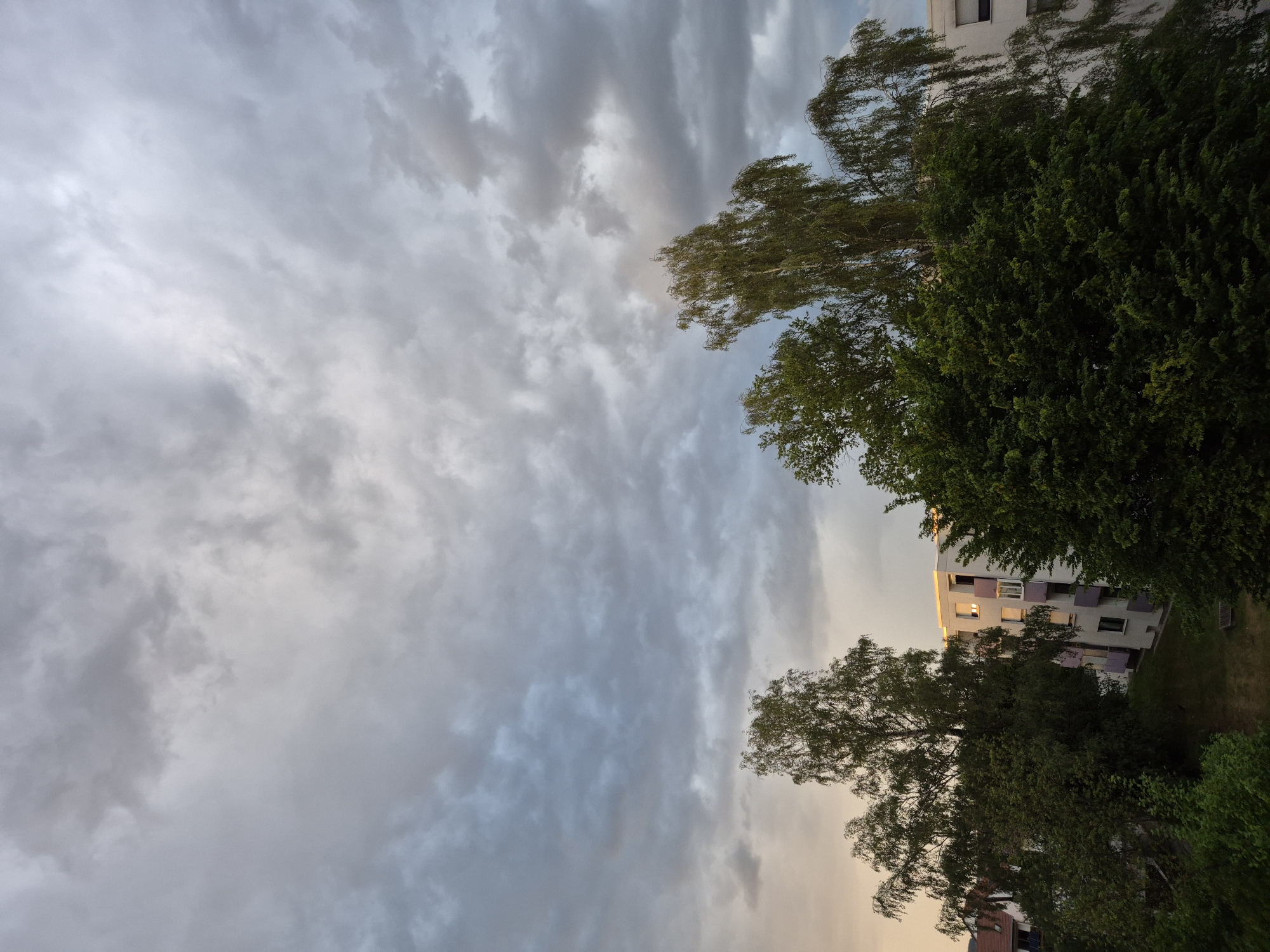 The image captures an overcast sky above a residential area, with the location identified as Unknown, Unknown. The upper two-thirds of the frame are dominated by a dense layer of grey clouds, exhibiting variations in shade from dark grey to lighter, almost white, areas. A faint warm, orange-yellow hue is visible in the clouds and sky on the far left horizon, suggesting either sunrise or sunset.
In the lower third of the image, a dense canopy of trees and parts of buildings are visible. Multiple deciduous trees with varying shades of green foliage occupy the midground and foreground. Prominent are several tall trees with lighter green, somewhat wispy leaves, possibly birches, seen on the left and right, extending upwards towards the cloudy sky. Denser, darker green foliage from other trees or bushes forms a lower layer across the bottom of the frame and to the left.
Partially obscured by the trees, a multi-story residential building with white facades and purple-colored balconies is visible on the right side of the frame. Windows are visible, some reflecting light. To the far left, another building with a reddish-brown tiled roof is partially visible. A patch of green lawn is discernible between the foreground trees and the white residential building. No people or animals are visible in the frame.
