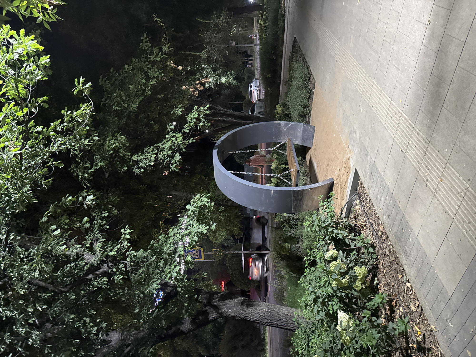 The image depicts an outdoor scene at night, featuring a modern-style swing set with a curved, metallic frame and a wooden seat, situated on a sandy base. To the left of the swing, a large tree with dense foliage extends into the frame, and a street with passing cars is visible in the background. The ground is paved with concrete tiles, and there is a patch of greenery with flowering bushes to the left of the swing. The scene appears to be located in a public space, possibly a park or a pedestrian walkway, in the city of Almaty, Kazakhstan.