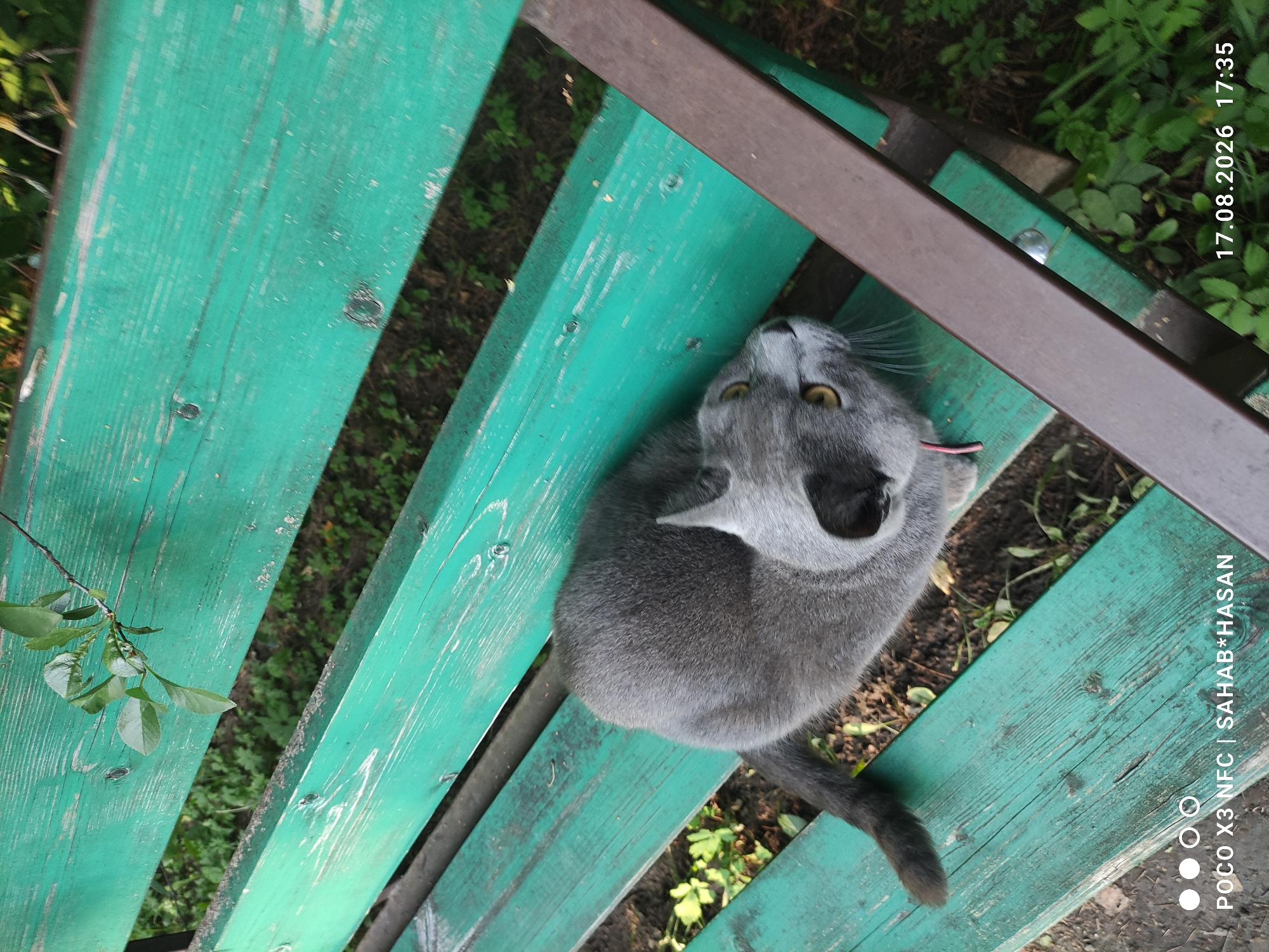 A gray cat with yellow eyes sits on a weathered green wooden bench in an outdoor setting. The bench appears to be in a park or garden area, as evidenced by the presence of greenery and soil on the ground beneath it. The cat is positioned centrally on the bench, facing to the right of the frame. Its fur is short and its tail extends to the left. A thin pink collar is visible around its neck. The bench has a metallic frame that is partially visible on the right side of the image. The lighting suggests it is daytime, possibly late afternoon, given the shadows. The background is blurred, showing more foliage and the general environment. The image also contains a timestamp in the lower right corner reading "17.08.2026 17:35" and text in the lower left corner reading "POCO X3 NFC | SAHAB*HASAN". There are no people present in the image. The location is unknown and cannot be determined from the visual information alone.
