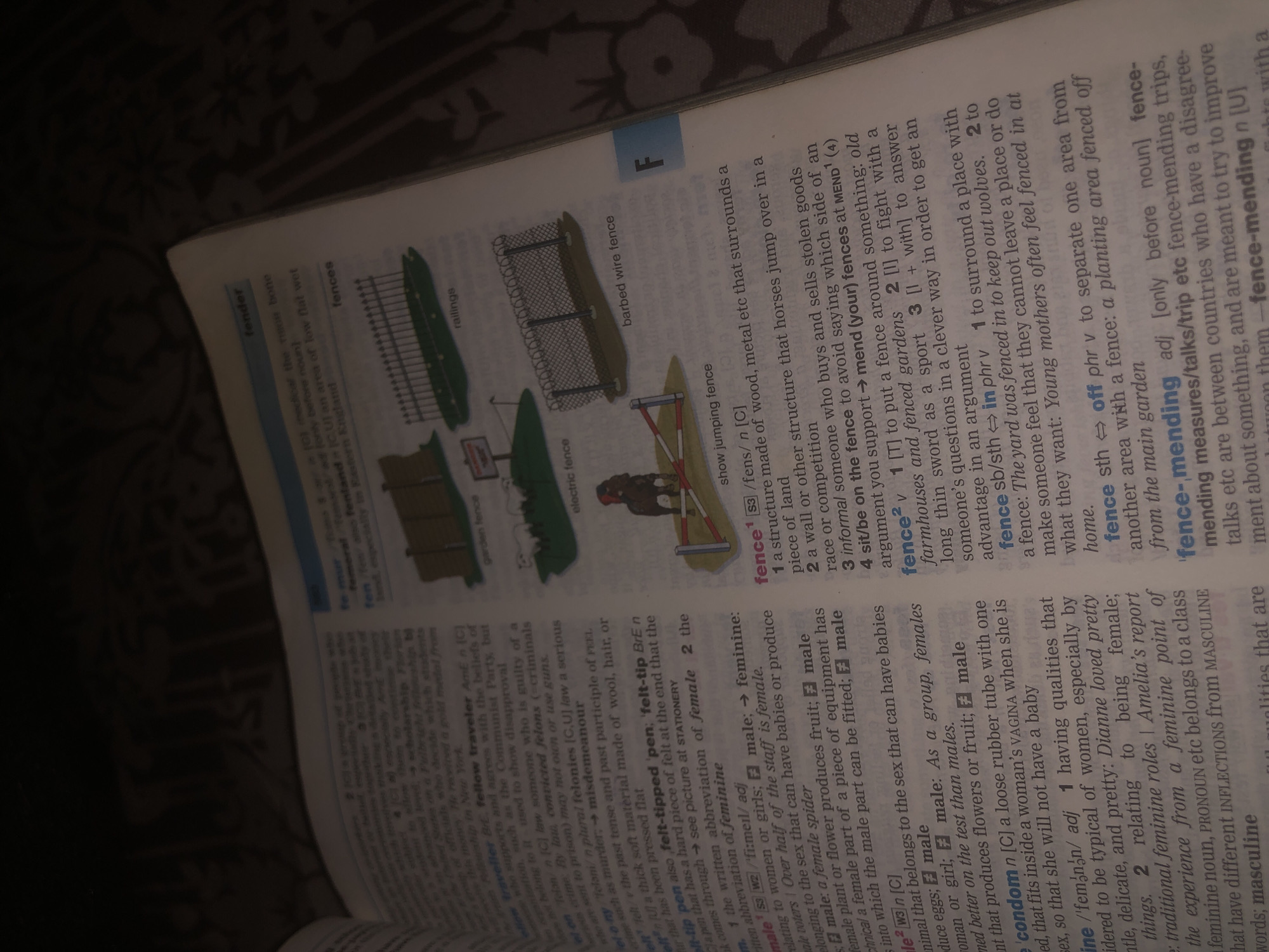 This is a close-up, slightly blurry photograph of an open dictionary, likely taken in Jalingo, Nigeria, given the prompt's context. The dictionary pages are illuminated by a light source, causing some glare. The visible content includes entries for words starting with 'f', such as "fender," "female," "feminine," and "fence." Several illustrations accompany the dictionary definitions, depicting various types of fences like garden fences, electric fences, barbed wire fences, and a show jumping fence with a horse and rider. The lighting suggests an indoor setting, possibly at night or in a dimly lit room. There are no people or any other elements identifiable within the image that would indicate the specific location within Jalingo. The focus is entirely on the dictionary's content and illustrations.