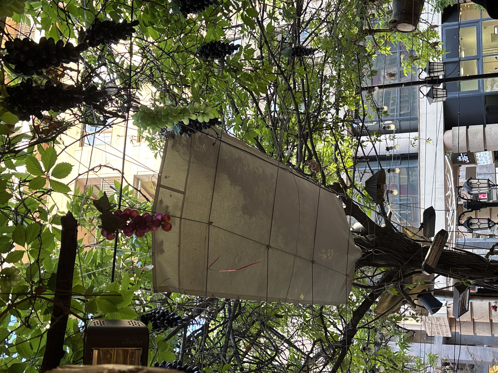 The image captures a vibrant, decorated outdoor or semi-outdoor space, likely a restaurant or cafe patio, characterized by an elaborate canopy of artificial grapevines and foliage. Numerous clusters of artificial grapes in dark purple/black, light green, and reddish-purple hues hang abundantly from a dense network of branches and leaves, creating the impression of a lush vineyard overhead.
A prominent large, rectangular light fixture or lantern, crafted from a light-colored fabric or paper material and secured with wires, dominates the central foreground. Interspersed among the foliage and branches are various lighting elements: smaller, decorative lanterns with dark frames, minimalist cylindrical lights, and some rectangular fixtures that could be outdoor heaters or speakers. These lights are suspended by wires, suggesting an intended ambiance for evening use, despite the current bright daytime lighting.
The background reveals modern multi-story buildings with numerous windows, indicating an urban environment. The bright natural lighting suggests it is daytime, likely a sunny day, with visible shadows. No individuals are present.
The setup strongly implies a commercial establishment designed for dining or social gatherings. The extensive grape decor creates a themed, possibly vineyard-inspired, atmosphere. A few instances of printed text can be seen on signs or menus hanging in the background, particularly towards the right side of the frame, but the specific content of this text is illegible due to distance and angle. The overall impression is one of a unique, festive, and inviting outdoor area, fitting for its location in Yerevan, Armenia.