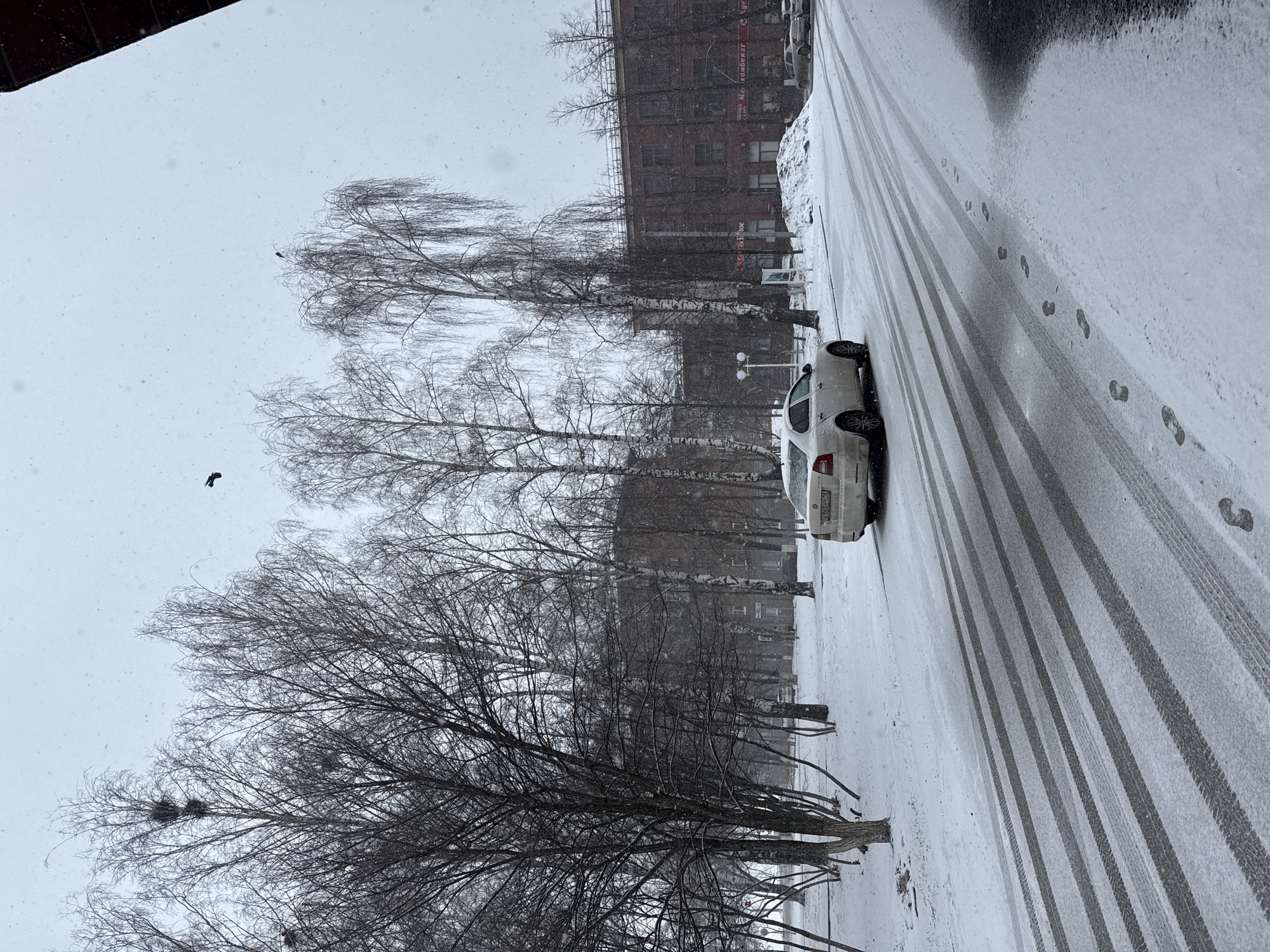The image depicts a winter scene, likely in Votkinsk, Russia. Snow covers the ground, street, and trees. Tire tracks are visible in the snow-covered road. A white car is parked on the side of the road. Bare trees line the street. A building is visible in the background. There are some birds in the sky and nests in the trees. Human footprints are evident in the snow near the car.